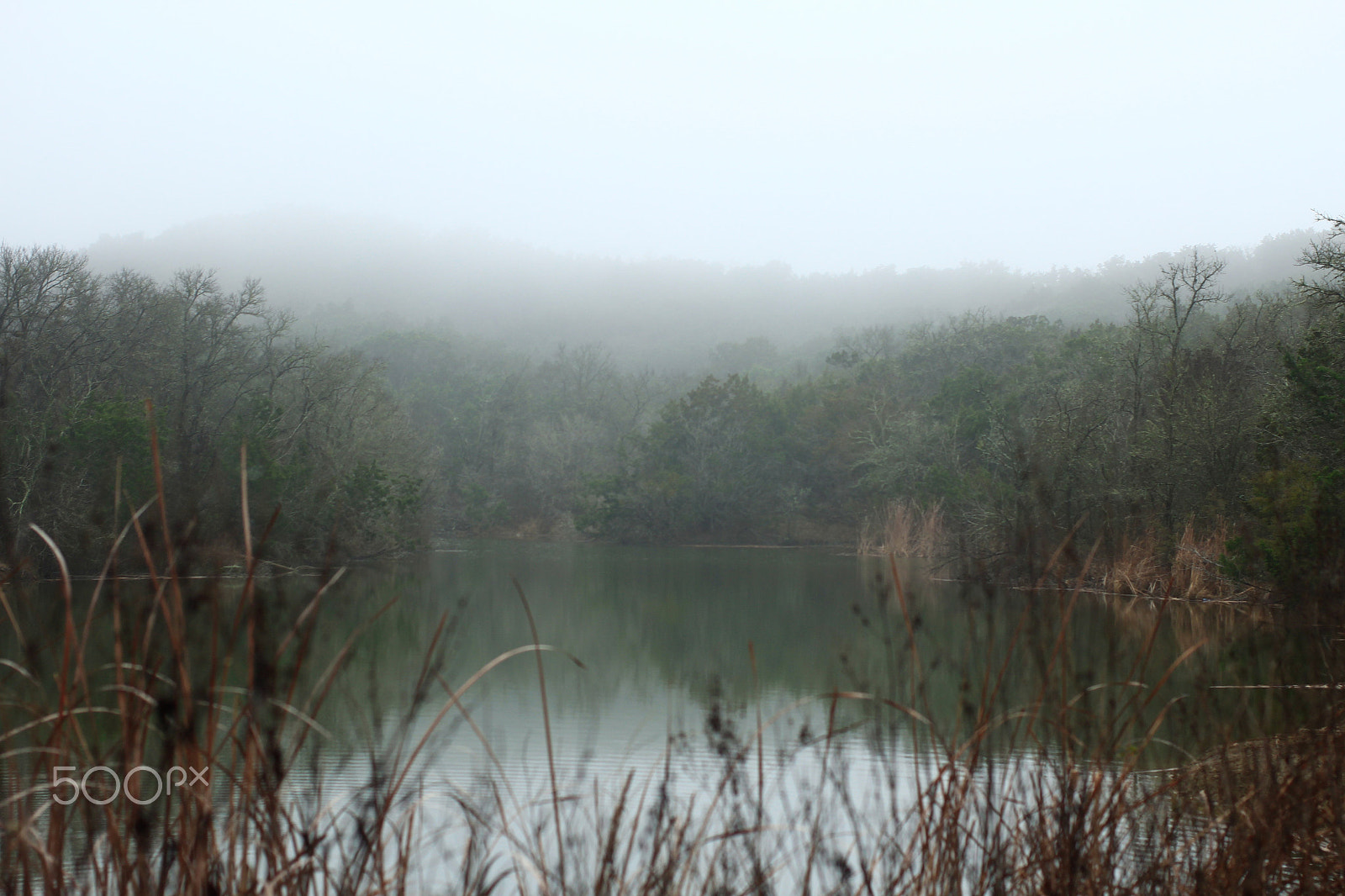 Canon EF 40mm F2.8 STM sample photo. ^17*1{15}+3 photography
