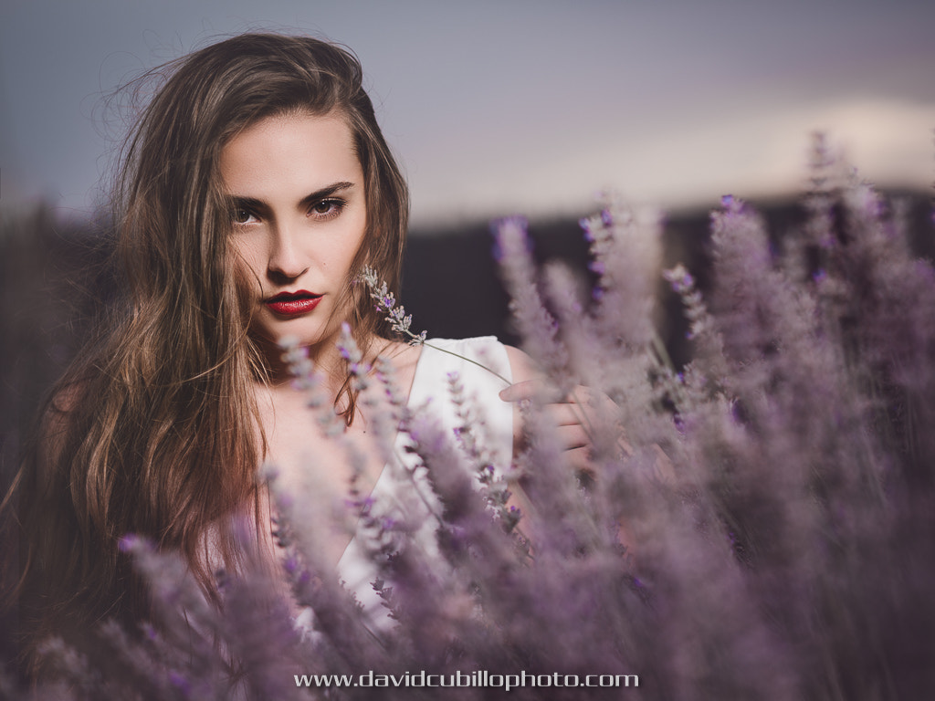 Nikon D750 + Nikon AF Nikkor 105mm F2D DC sample photo. Raluca photography