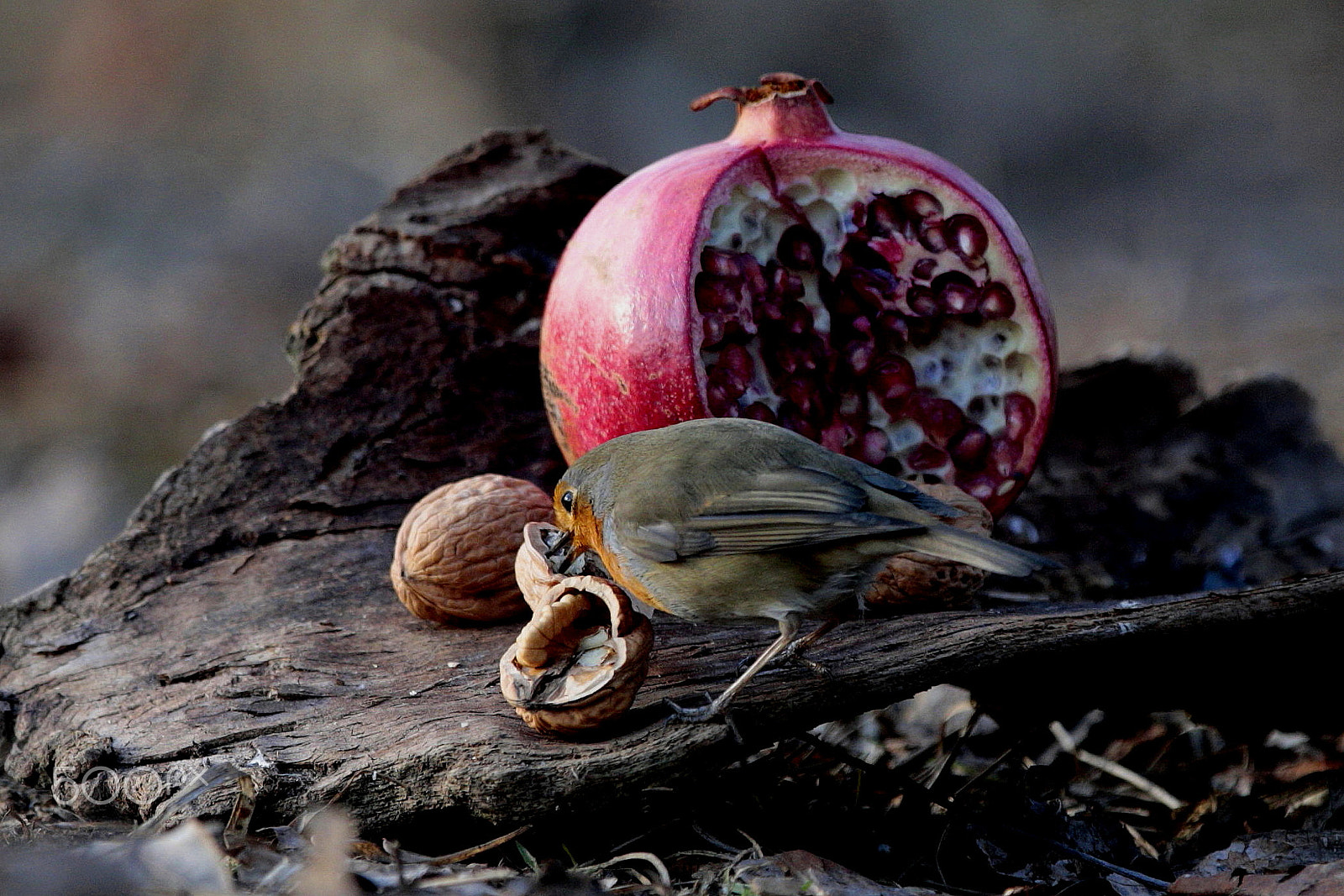 Canon EOS-1D X sample photo. Still life photography