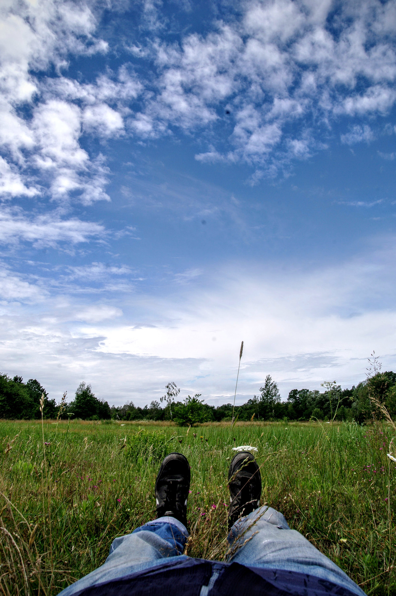 Pentax K20D sample photo. K20d3088.jpg photography