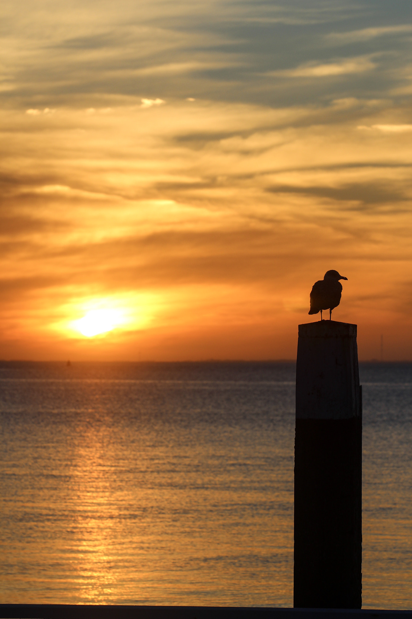 Canon EF 70-200mm F4L USM sample photo