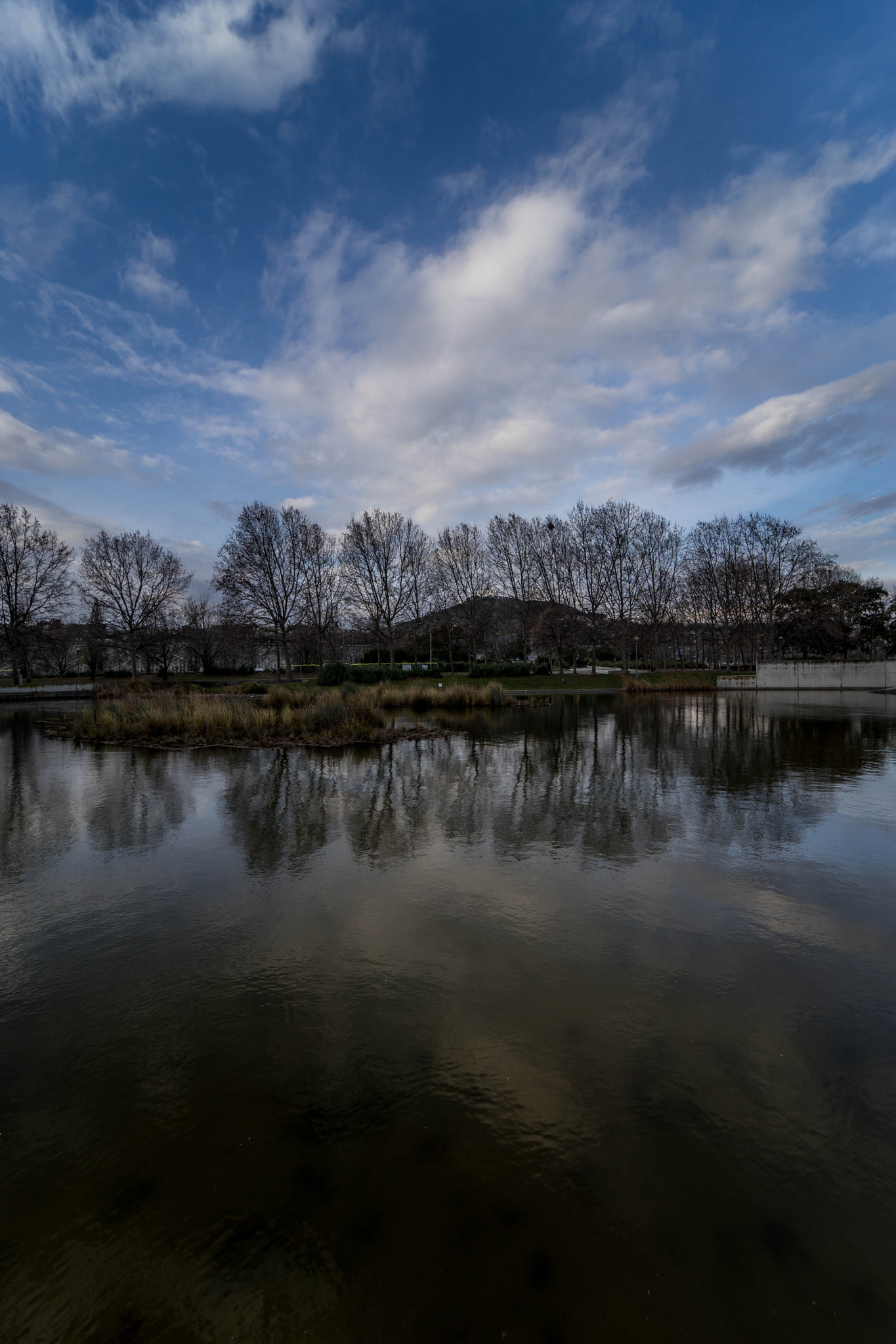 Sony a7 II + Samyang AF 14mm F2.8 FE sample photo