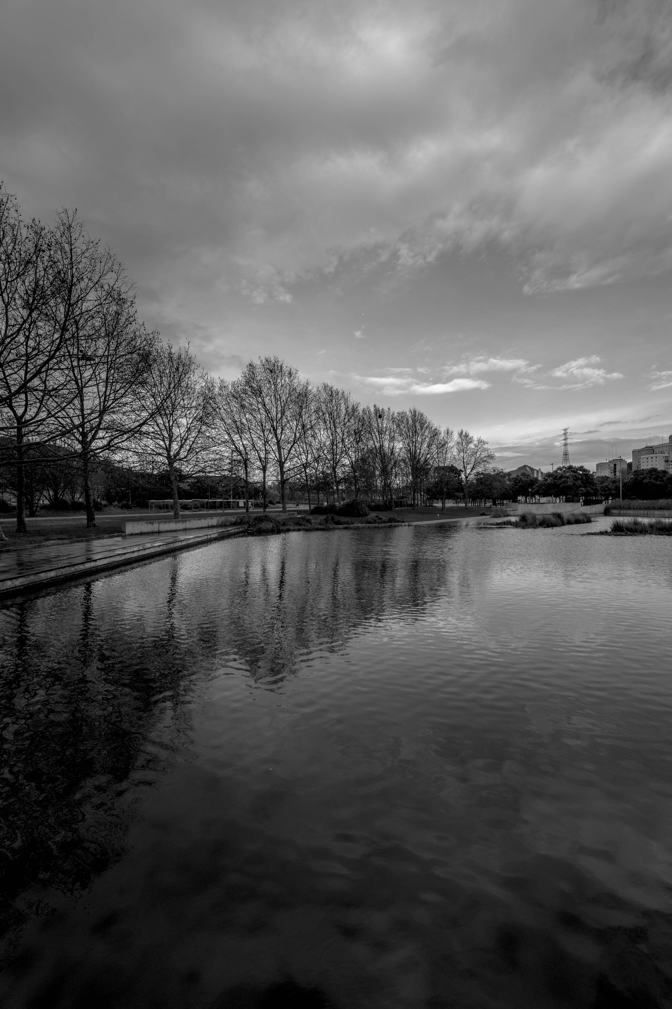 Samyang AF 14mm F2.8 FE sample photo