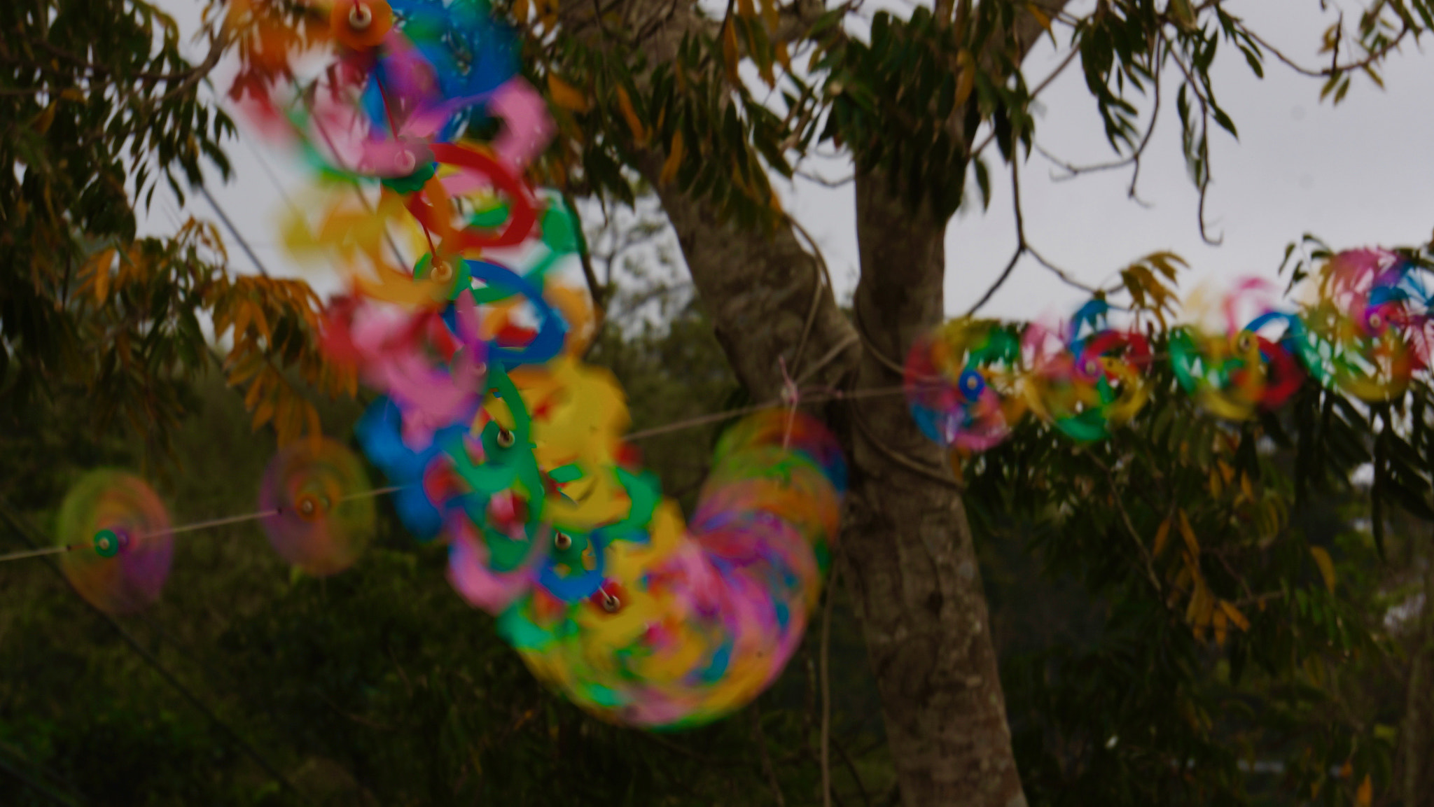 Sony FE 24-240mm F3.5-6.3 OSS sample photo. Paper wind mills photography