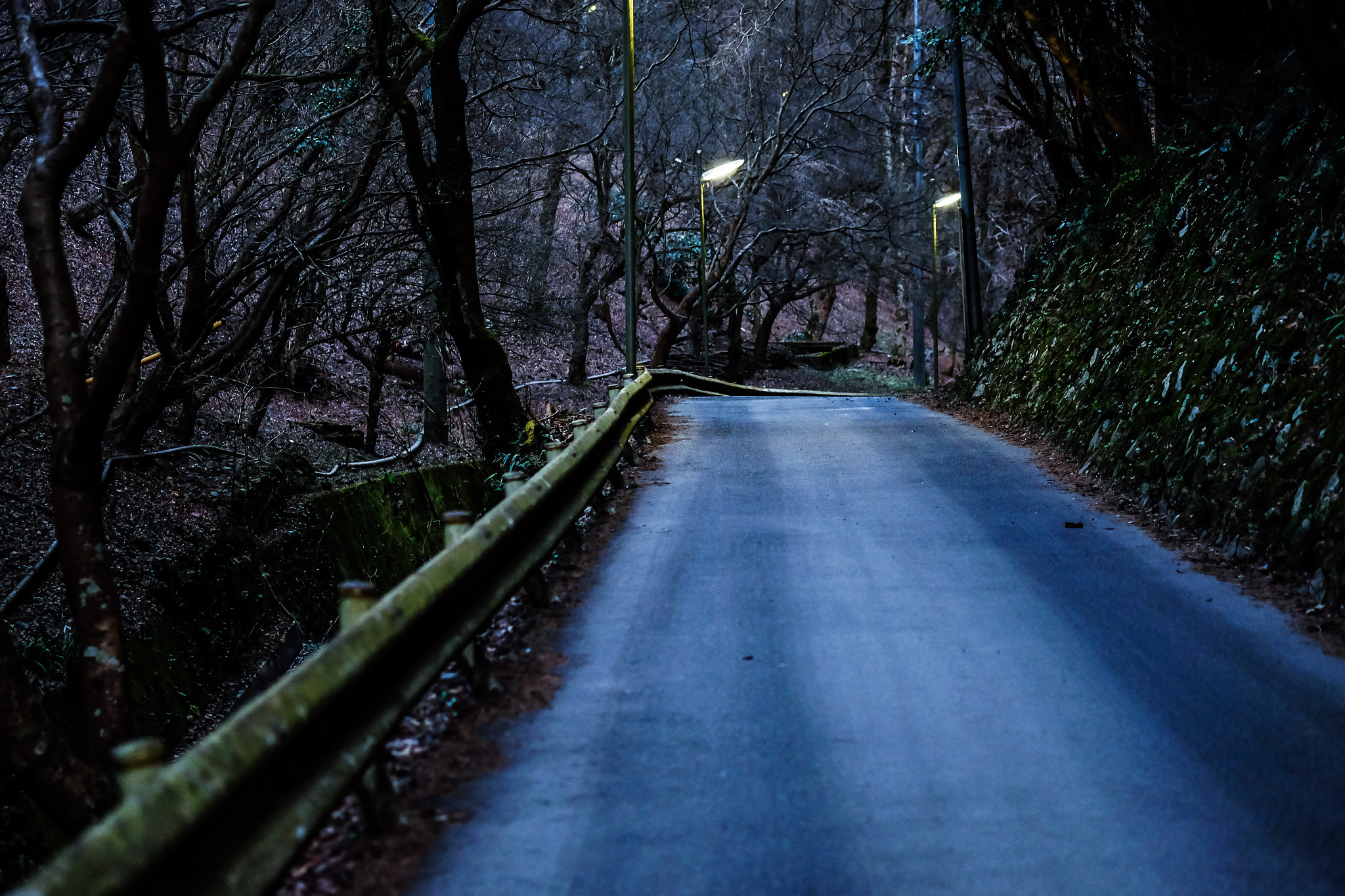 Fujifilm X-T10 + Fujifilm XF 60mm F2.4 R Macro sample photo. Road photography