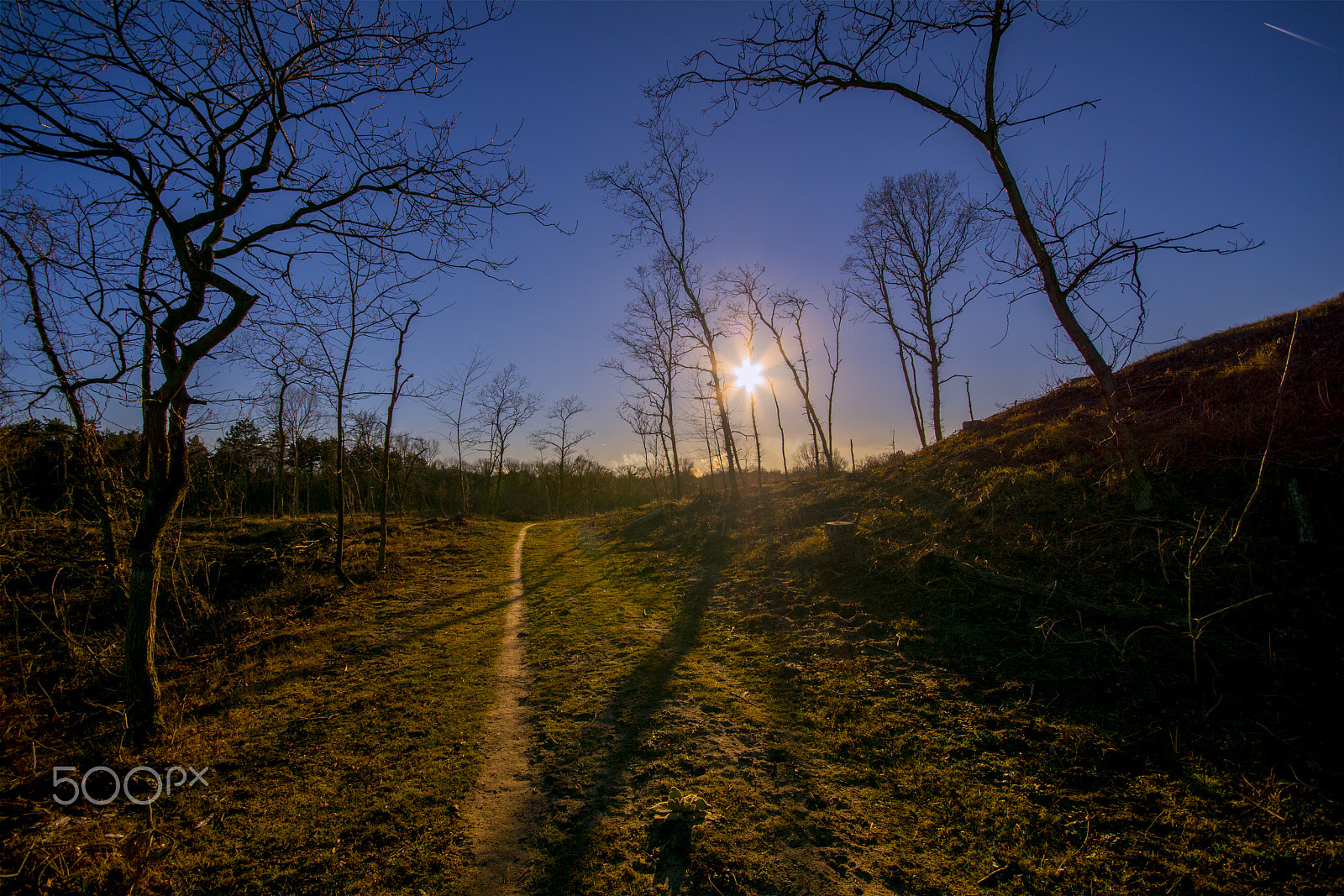 Sigma AF 10-20mm F4-5.6 EX DC sample photo. Winter sun photography