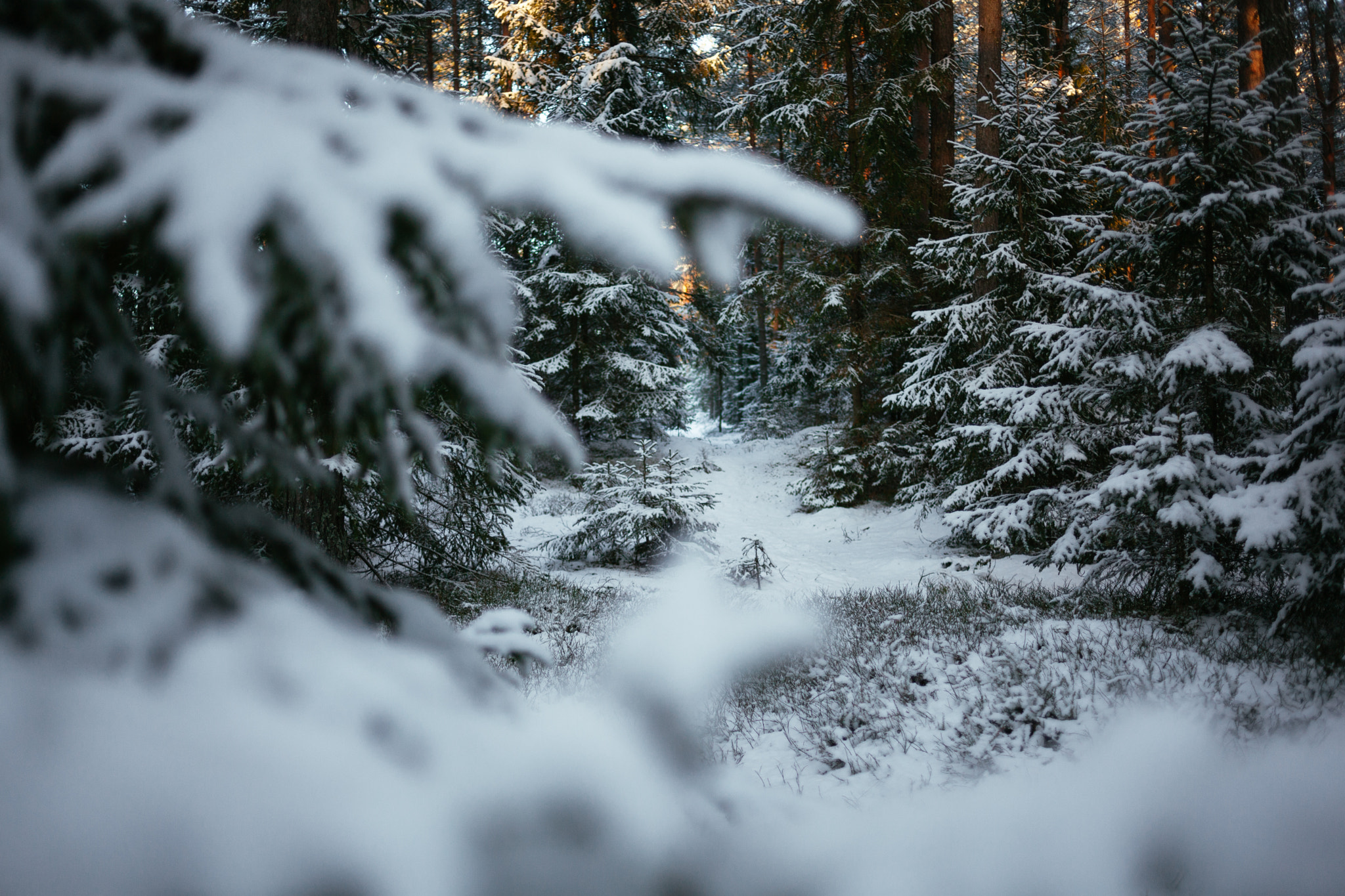 Canon EOS 5D Mark II + Canon EF 35mm F2 sample photo. Winter photography