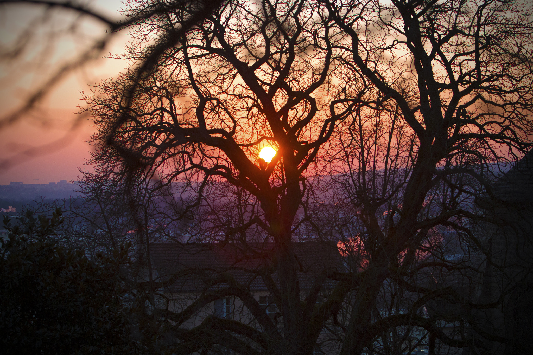 Canon EF 70-200mm F2.8L IS USM sample photo. Le pecq levé de soleil photography