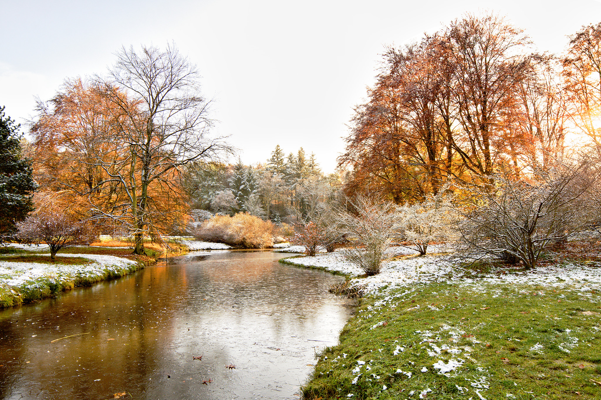 Samyang 14mm F2.8 ED AS IF UMC sample photo. Frozen garden photography