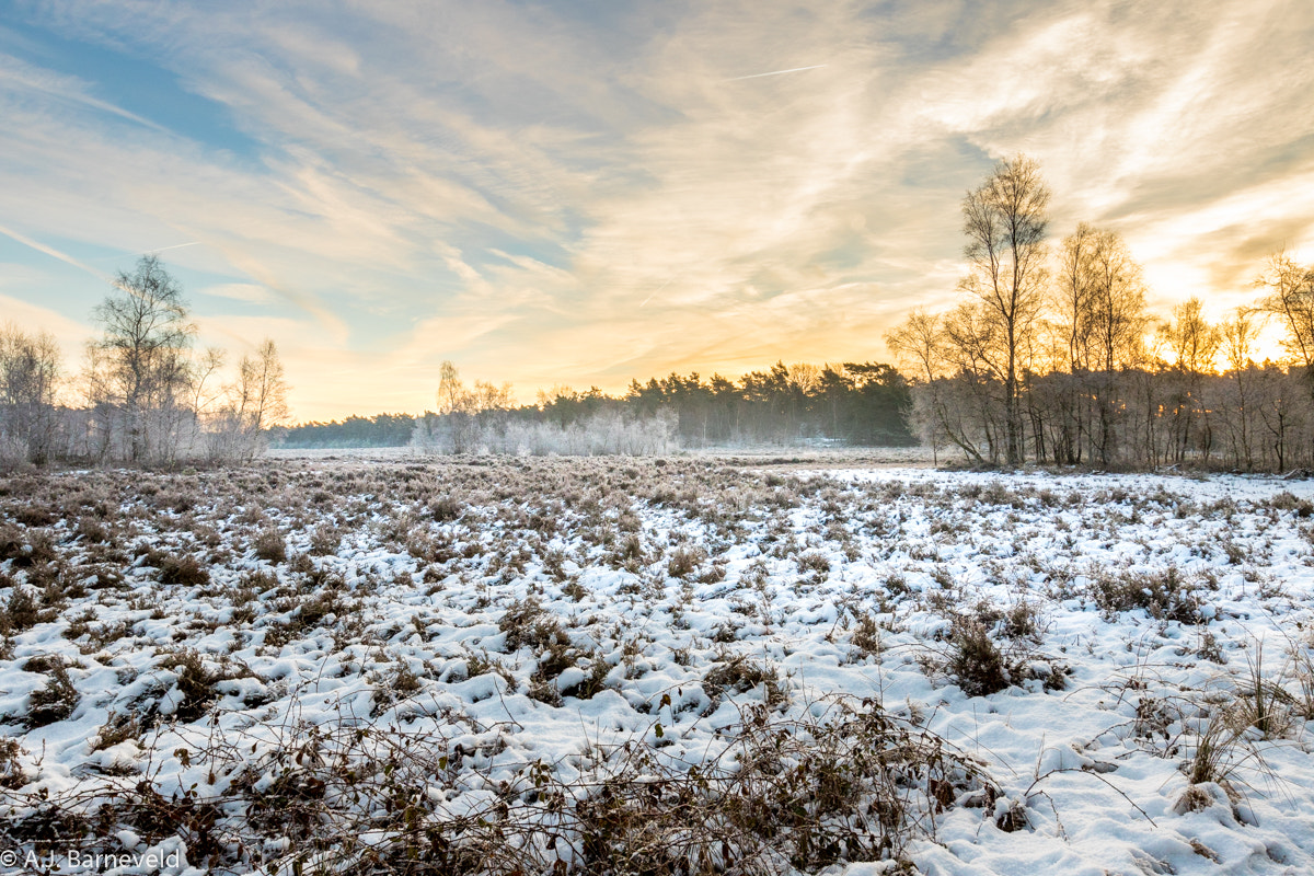 Canon EF 16-35mm F2.8L II USM sample photo. Morning delight photography