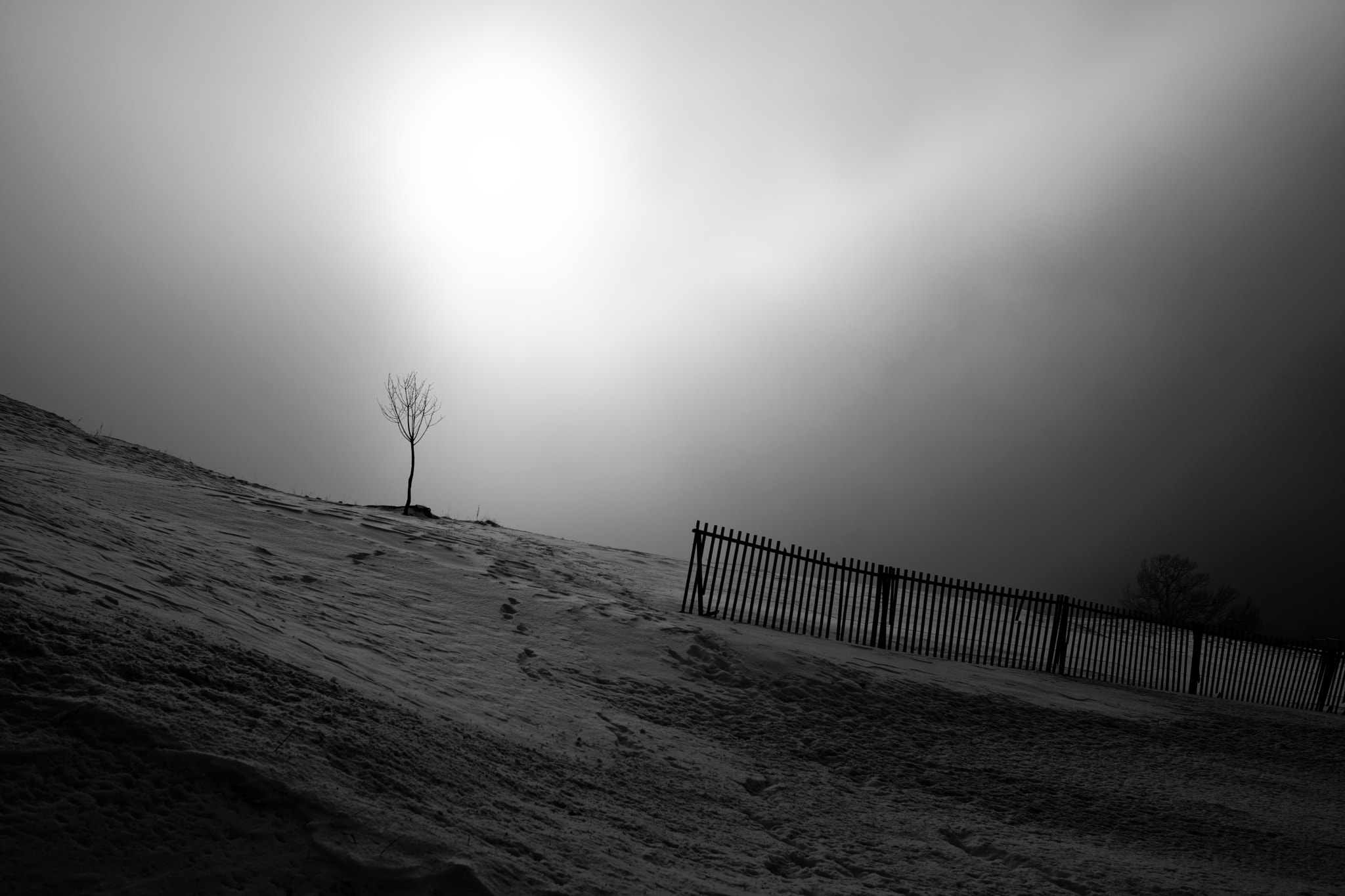 Sony a99 II + Sony 35mm F1.4 G sample photo. Chexbres -- mont pélerin, 20-01-2017, #1, bw photography