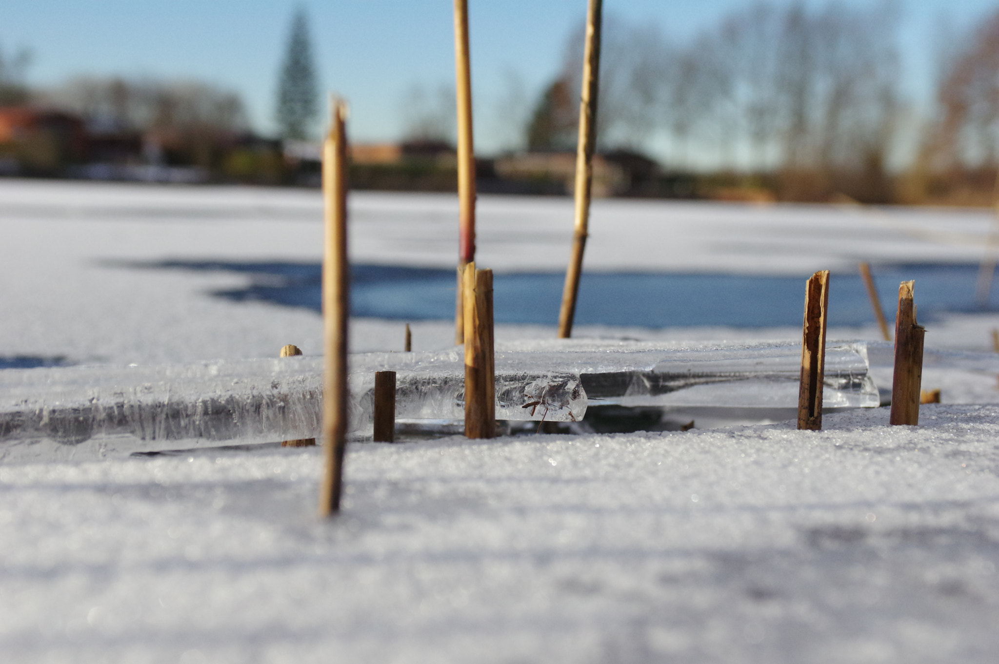 Pentax K-3 sample photo. Ice photography