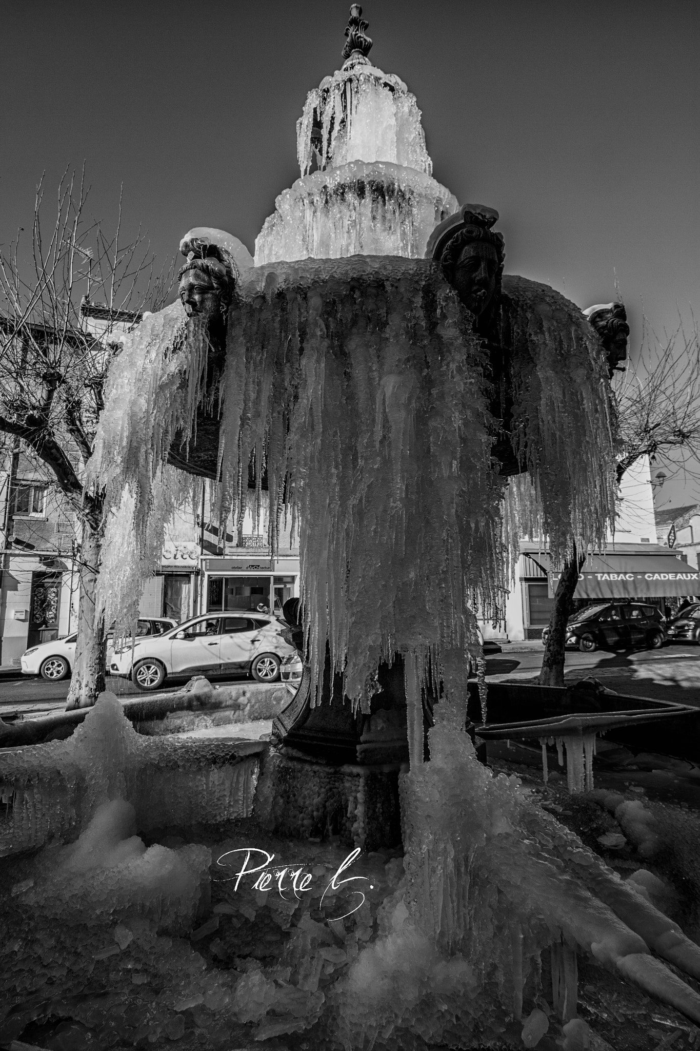 Canon EOS 50D sample photo. Frozen winter photography