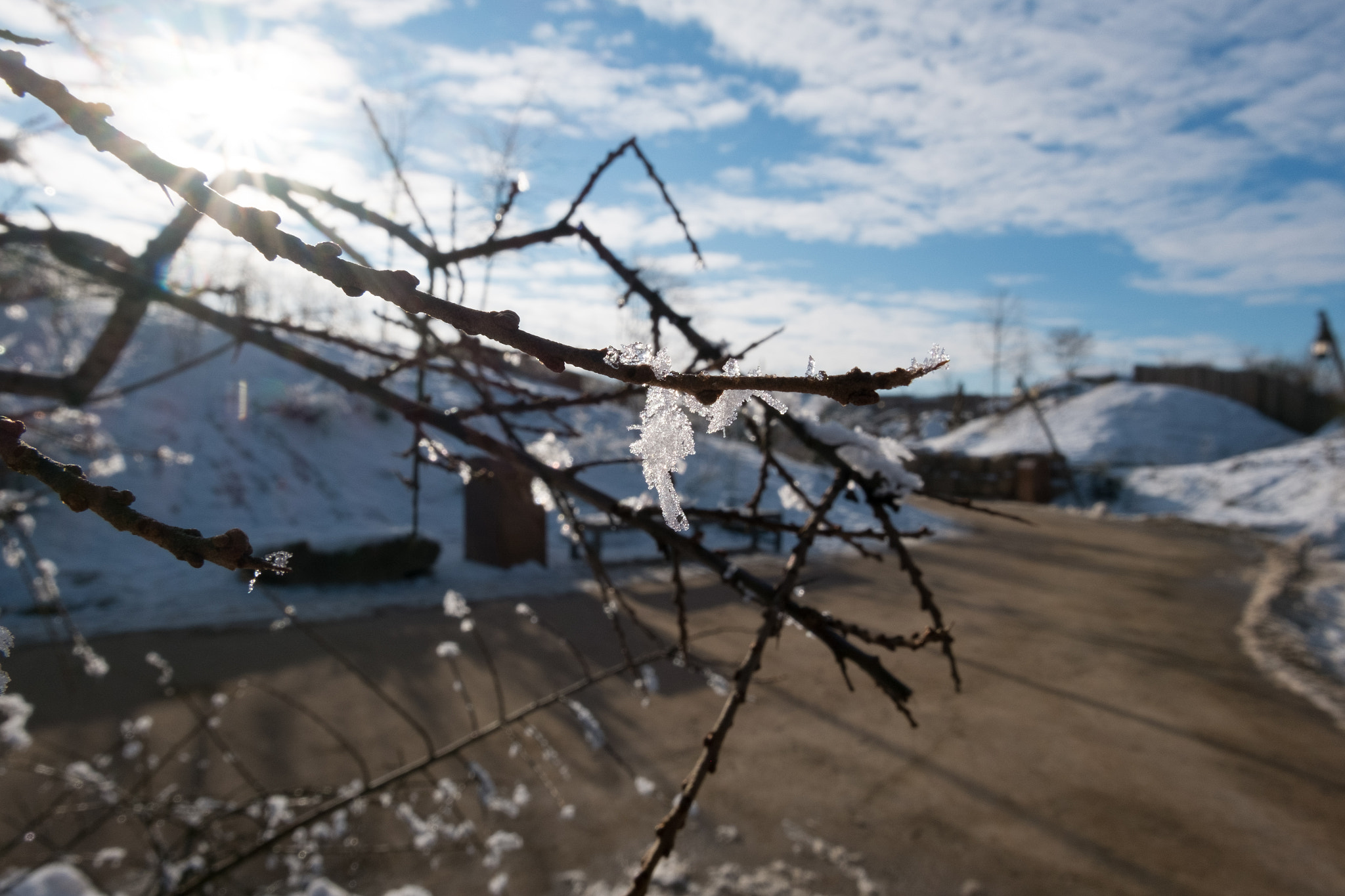 Fujifilm X-M1 sample photo. Remnants of winter photography