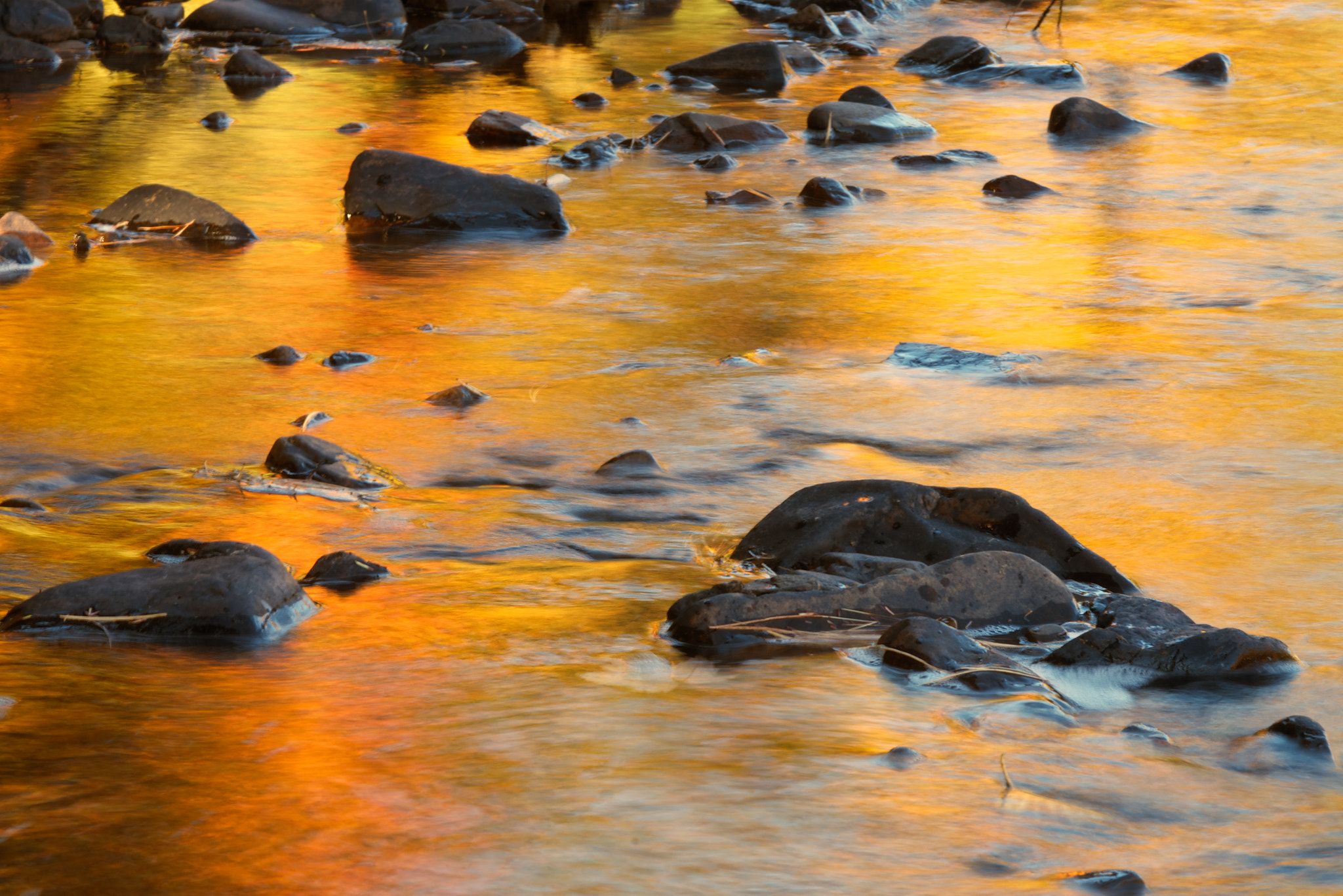 Pentax K-5 II sample photo. Evening reflection (2016) photography