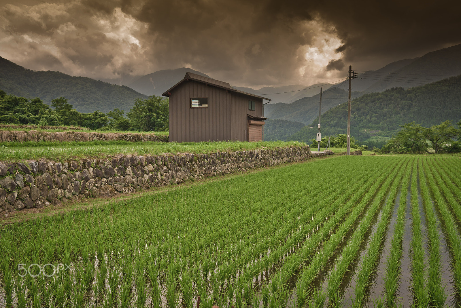 Leica X1 sample photo. Ph leonardo cestari japan 004 photography