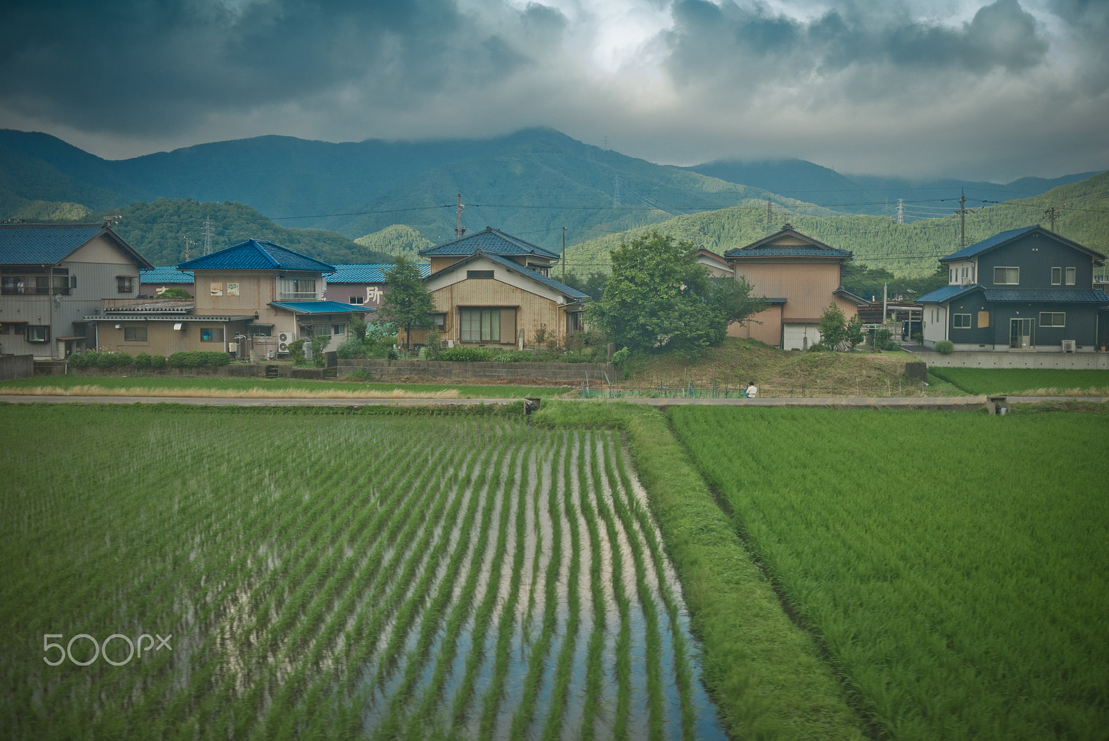 Leica X1 sample photo. Ph leonardo cestari japan 007 photography