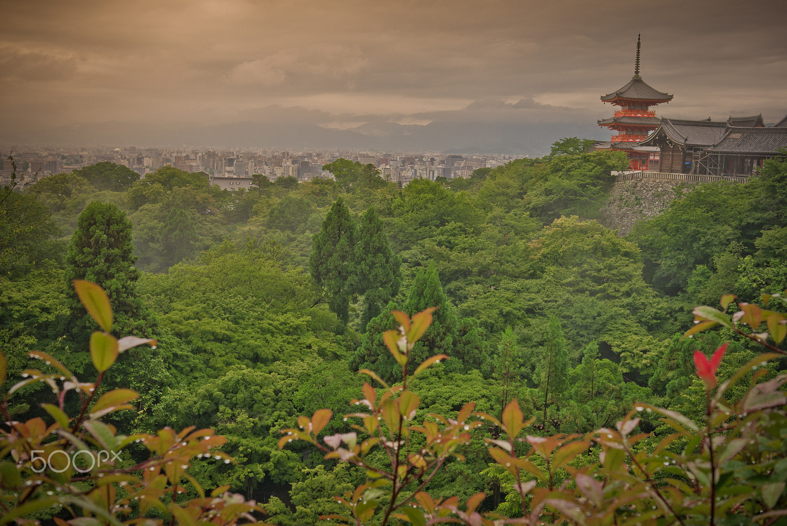 Leica X1 sample photo. Ph leonardo cestari japan 010 photography