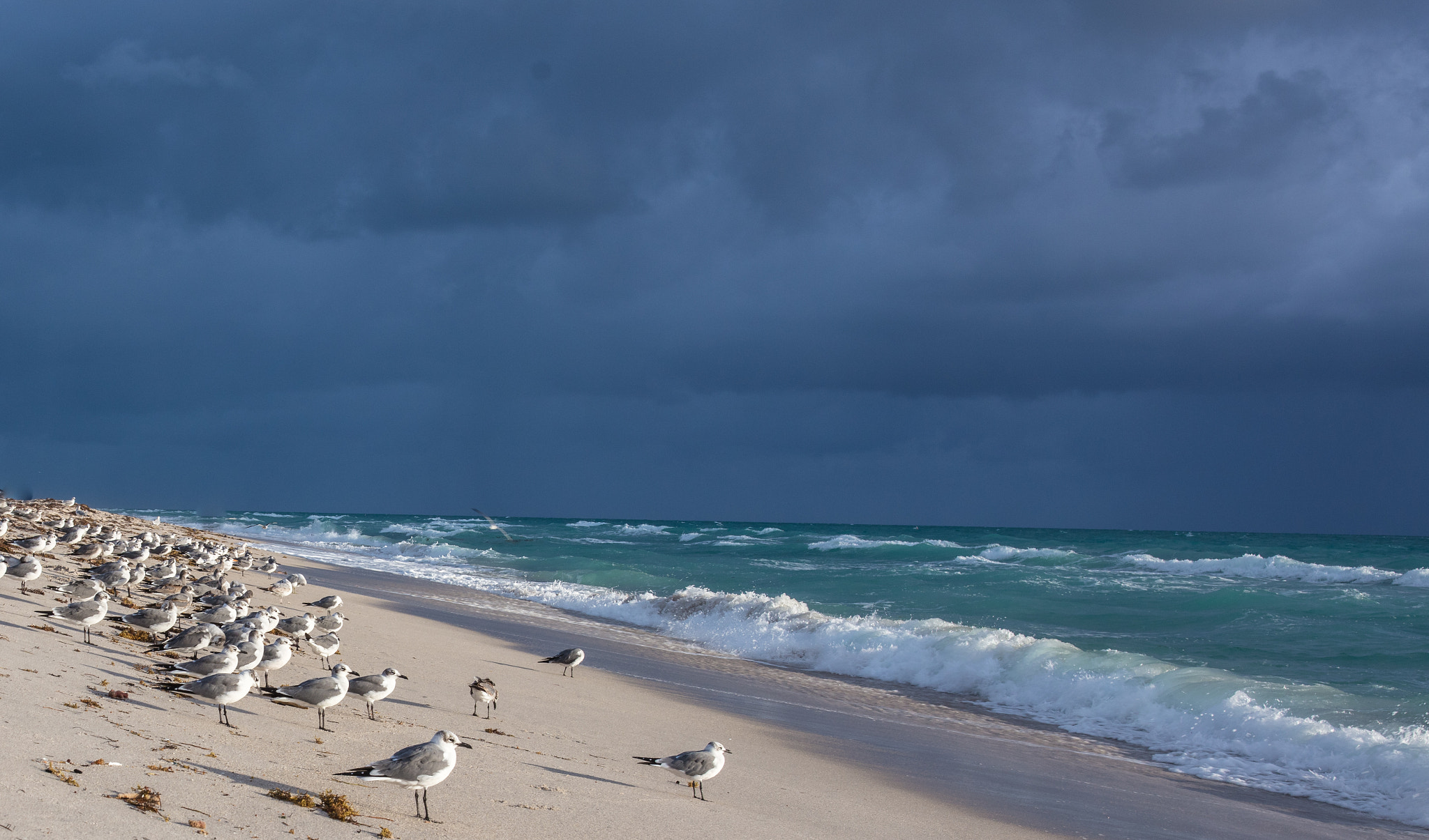 Canon EOS 5DS sample photo. Miami beach florida photography