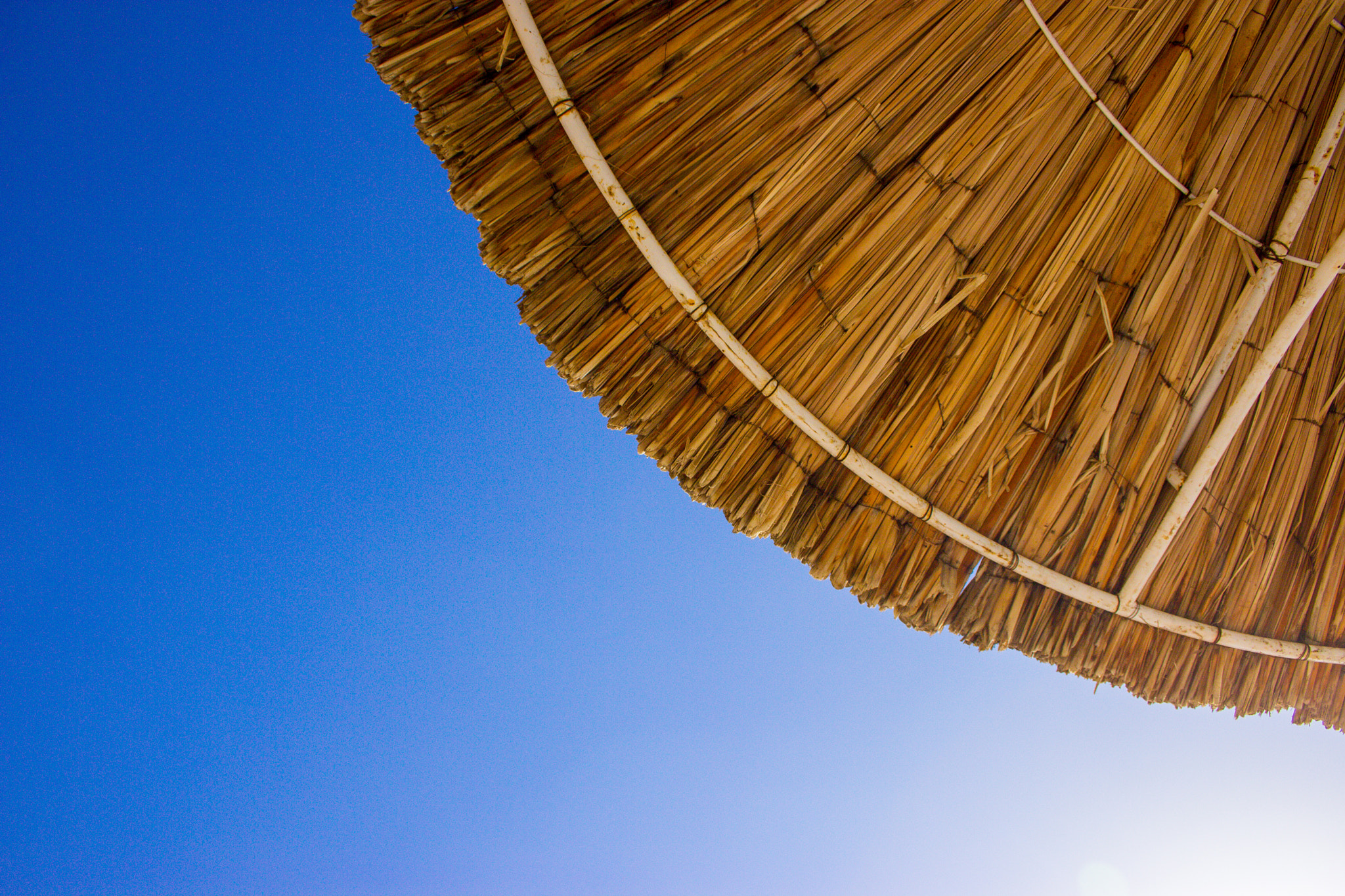Canon EF-S 18-55mm F3.5-5.6 II sample photo. Sunshade photography