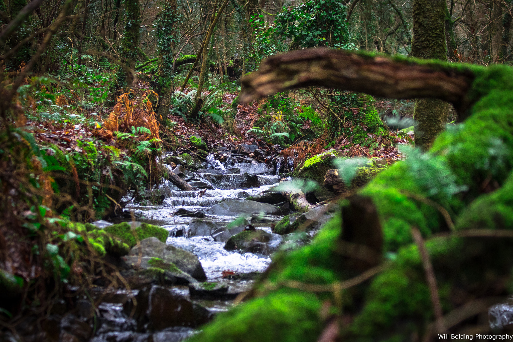 Canon EF 70-300mm F4-5.6 IS USM sample photo. Cracking haven photography
