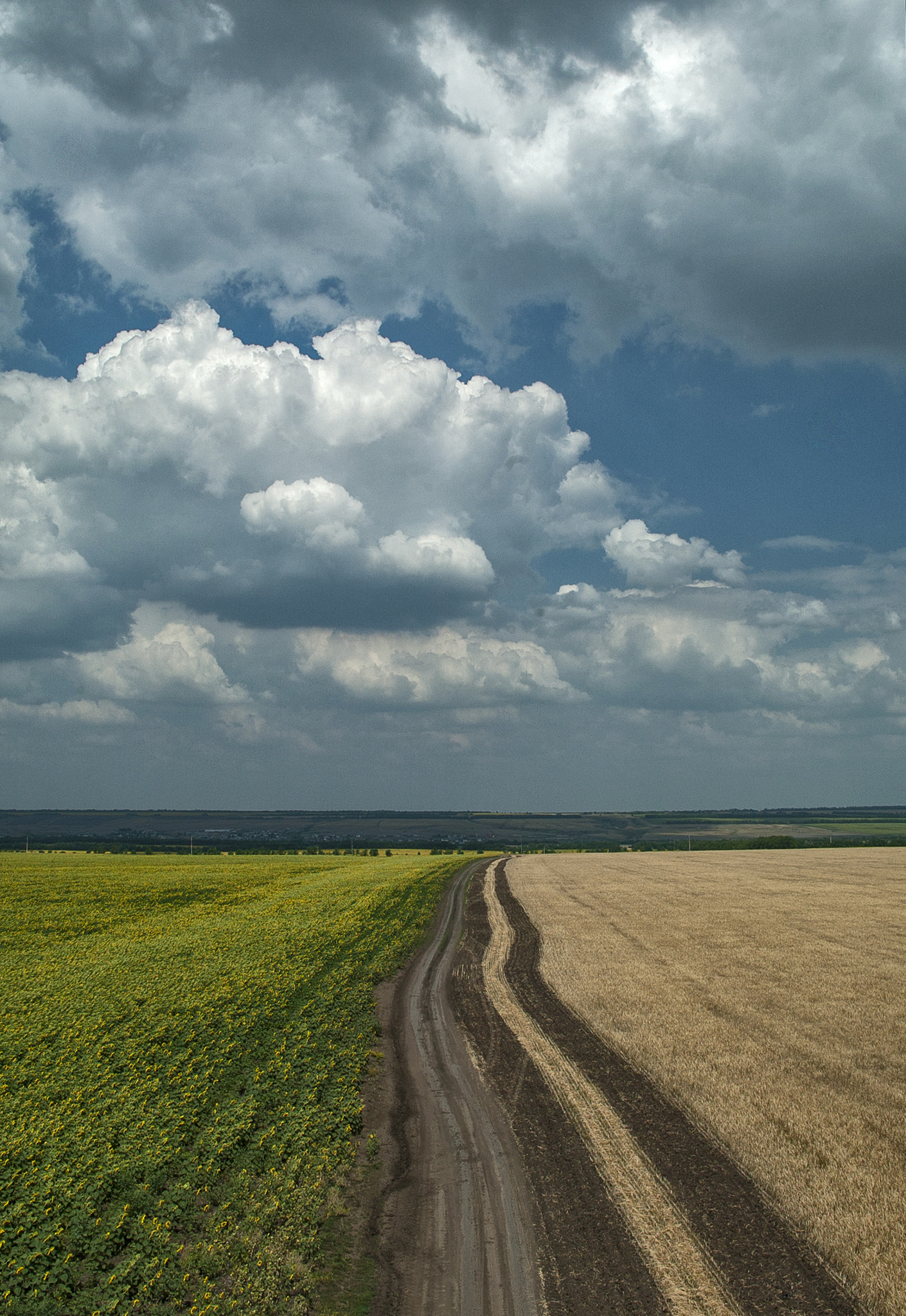 Canon EOS-1D + Canon EF 28-135mm F3.5-5.6 IS USM sample photo. In the distance photography