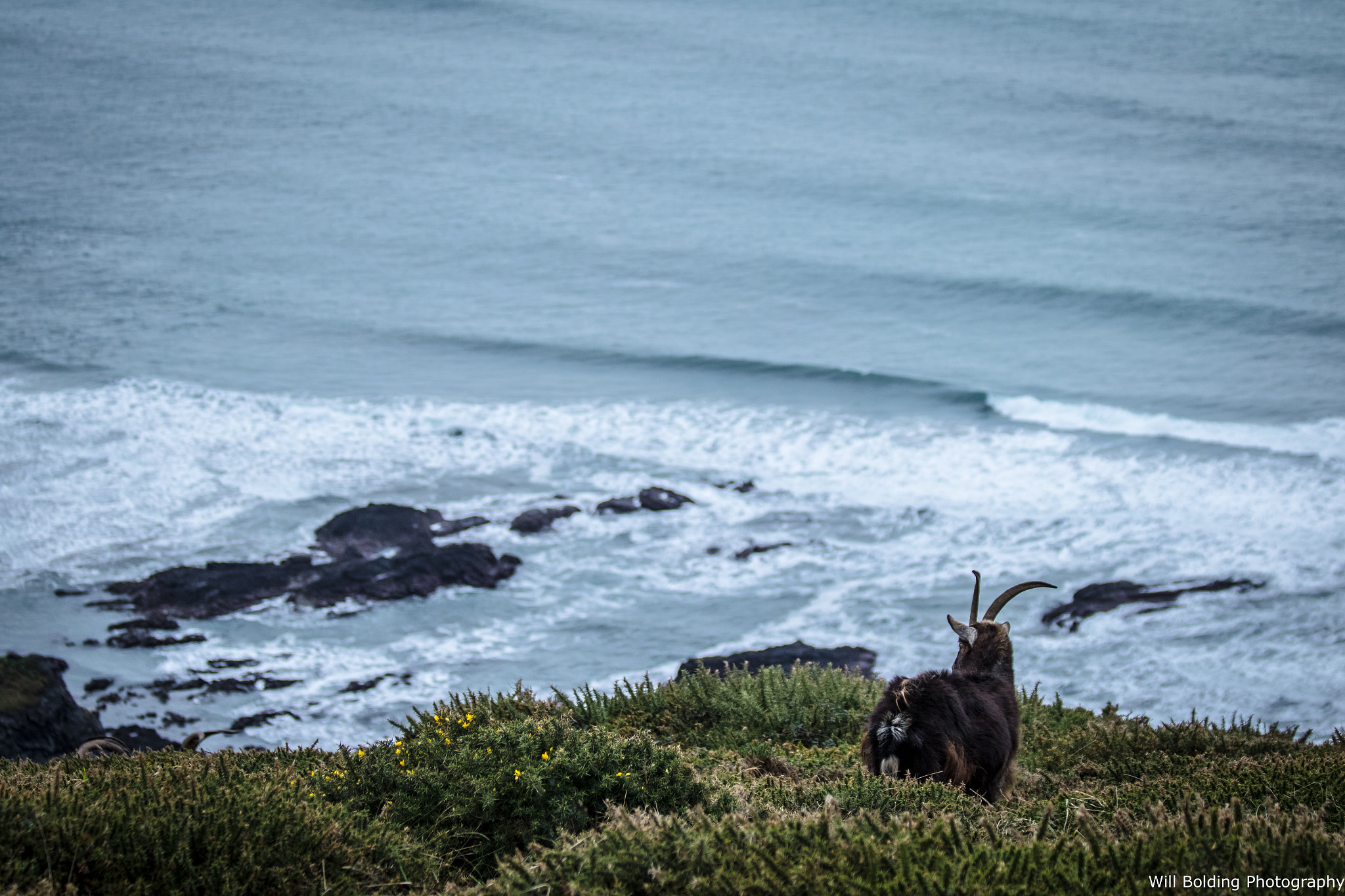 Canon EF 70-300mm F4-5.6 IS USM sample photo. Cracking haven photography