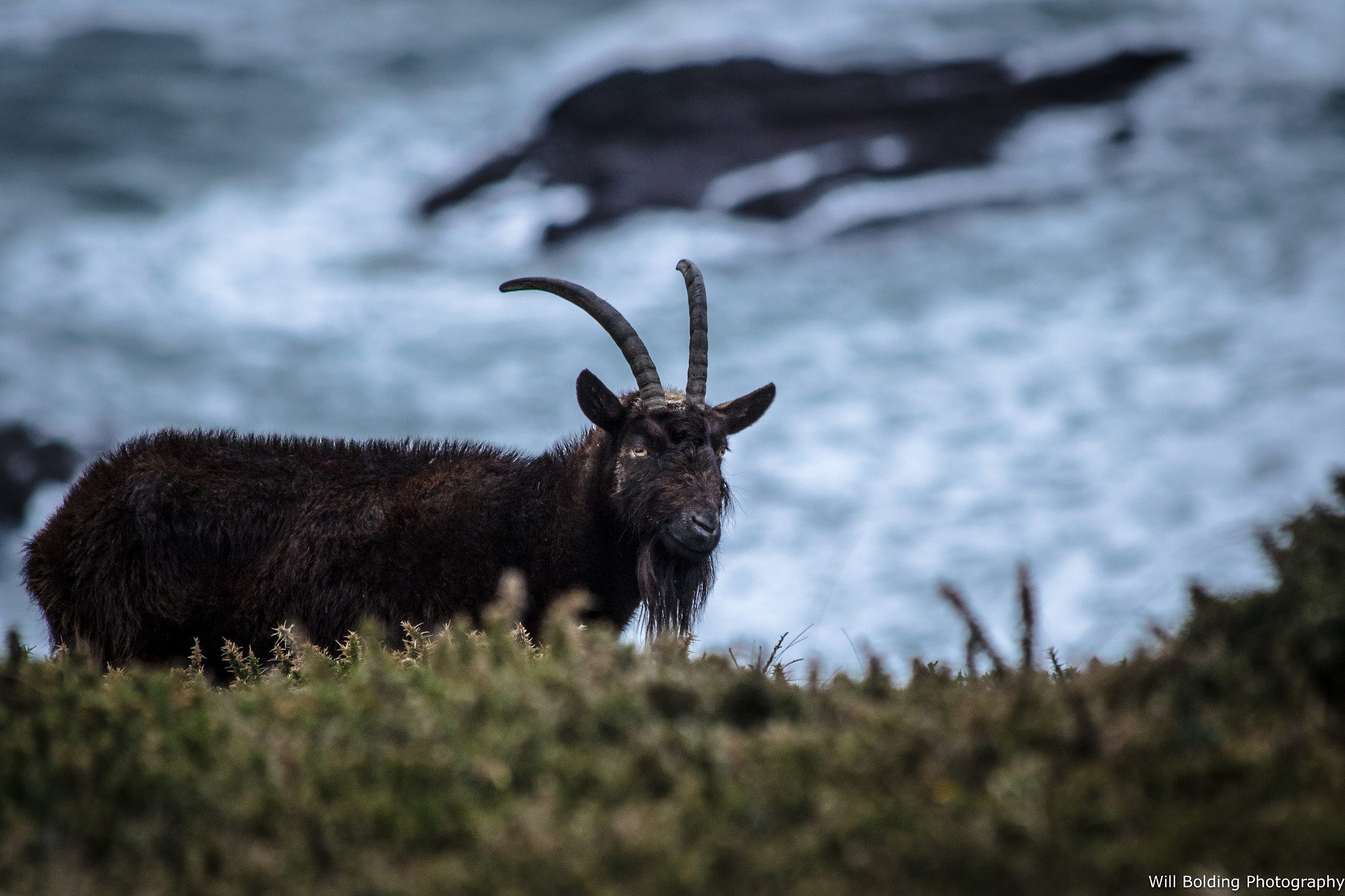 Canon EF 70-300mm F4-5.6 IS USM sample photo. Cracking haven photography