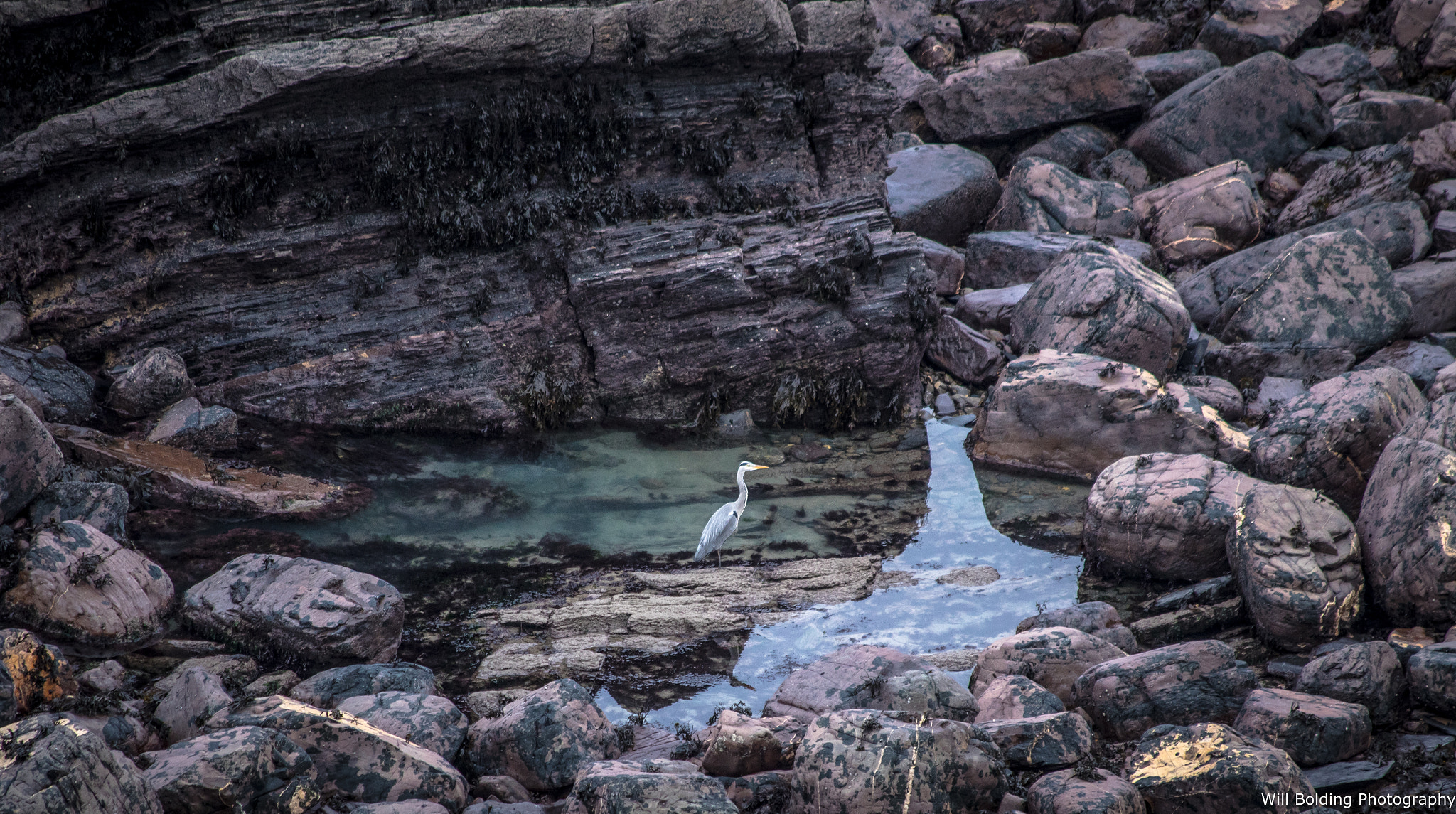 Canon EF 70-300mm F4-5.6 IS USM sample photo. Cracking haven photography