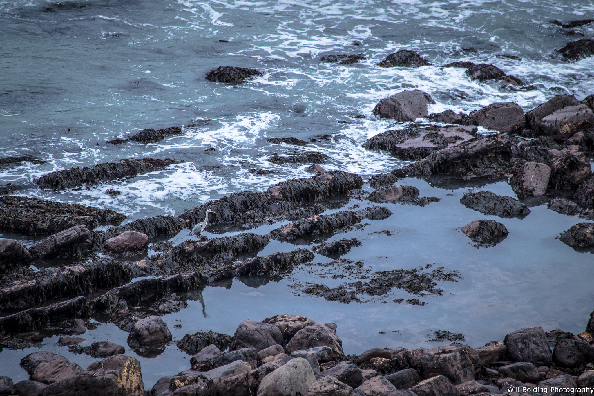 Canon EF 70-300mm F4-5.6 IS USM sample photo. Cracking haven photography