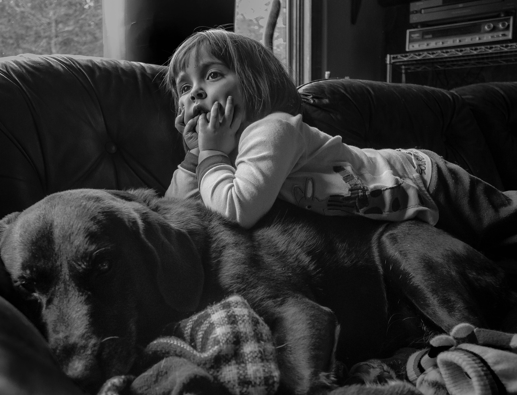 Nikon D5100 + Sigma 10-20mm F3.5 EX DC HSM sample photo. Zara and her dog photography