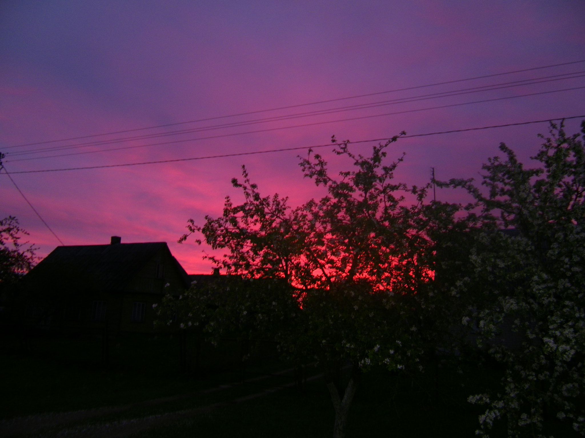 Kodak EASYSHARE M420 DIGITAL CAMERA sample photo. Pink dream photography