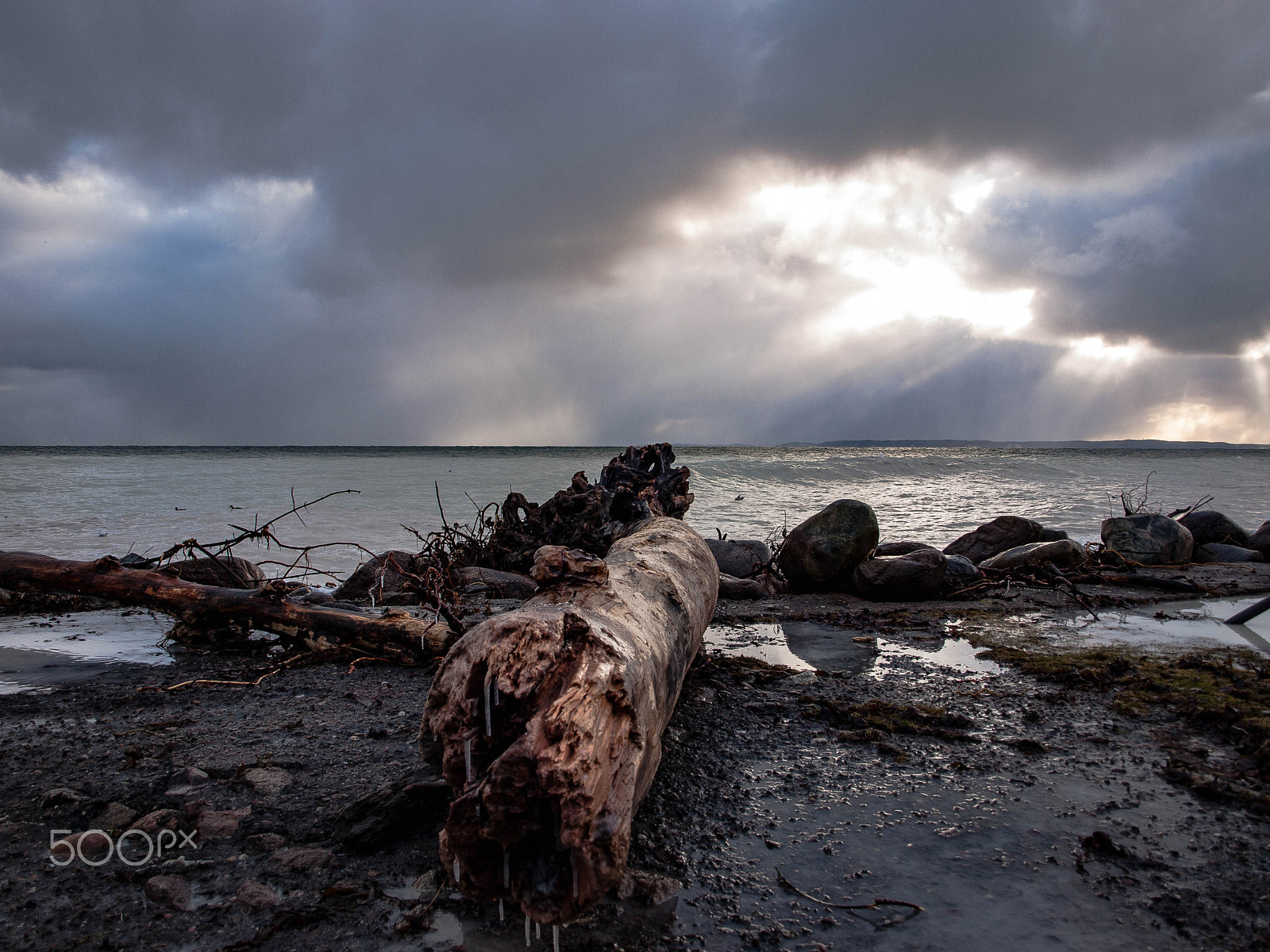 Olympus E-520 (EVOLT E-520) + OLYMPUS 14-42mm Lens sample photo. Driftwood photography