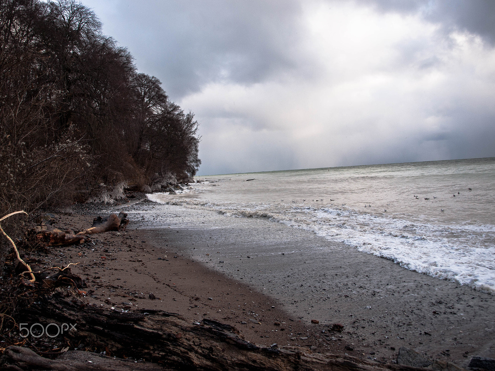 Olympus E-520 (EVOLT E-520) + OLYMPUS 14-42mm Lens sample photo. After the storm photography
