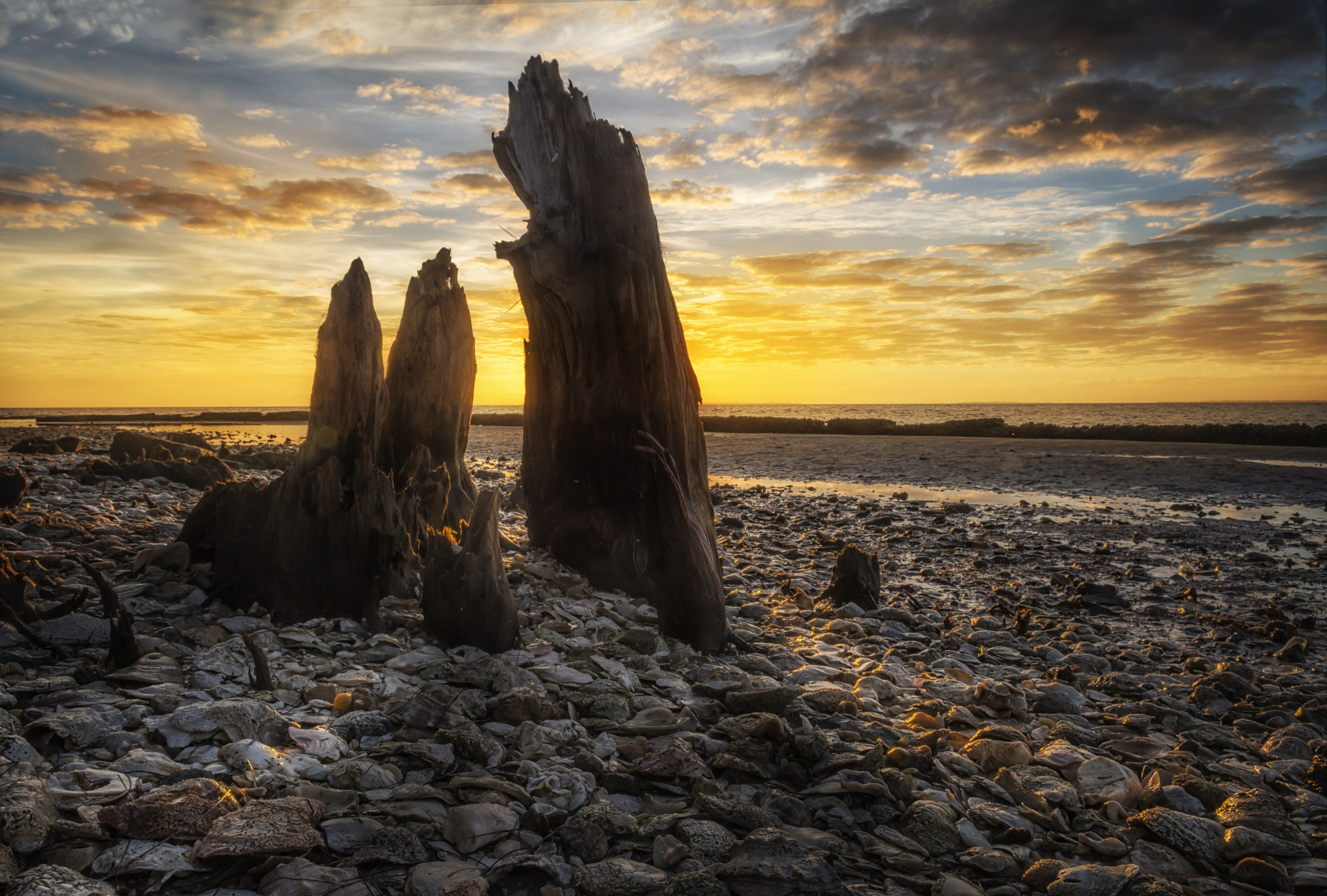 Nikon D500 sample photo. January 15 sunrise by the bay photography