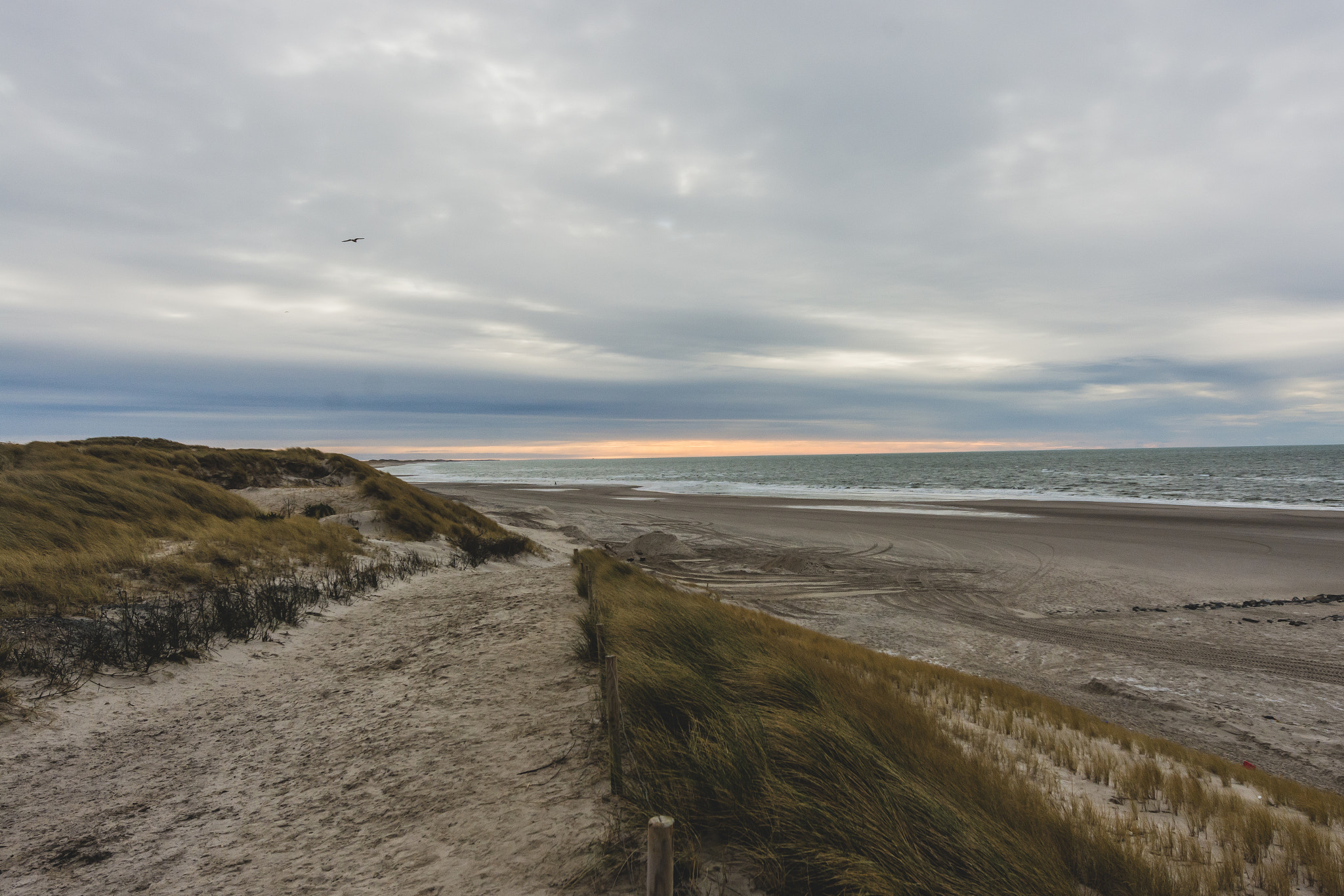Nikon AF-S Nikkor 14-24mm F2.8G ED sample photo. Lookout photography