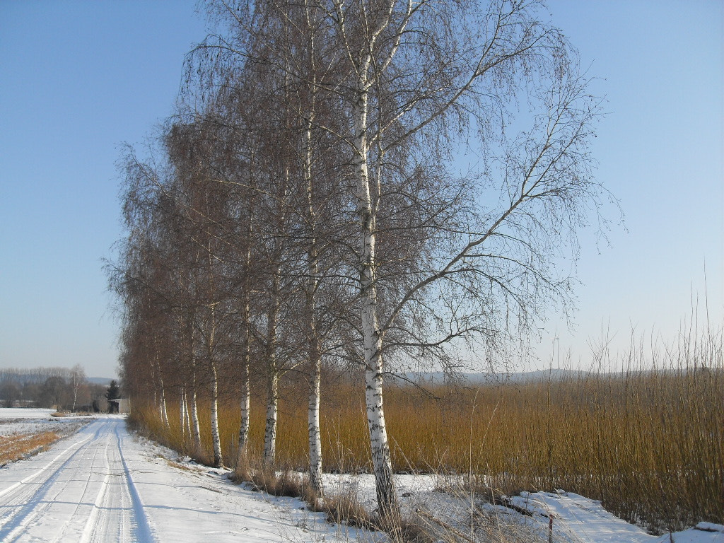 Samsung VLUU L100, M100  / Samsung L100, M100 sample photo. Landschaft im winter photography