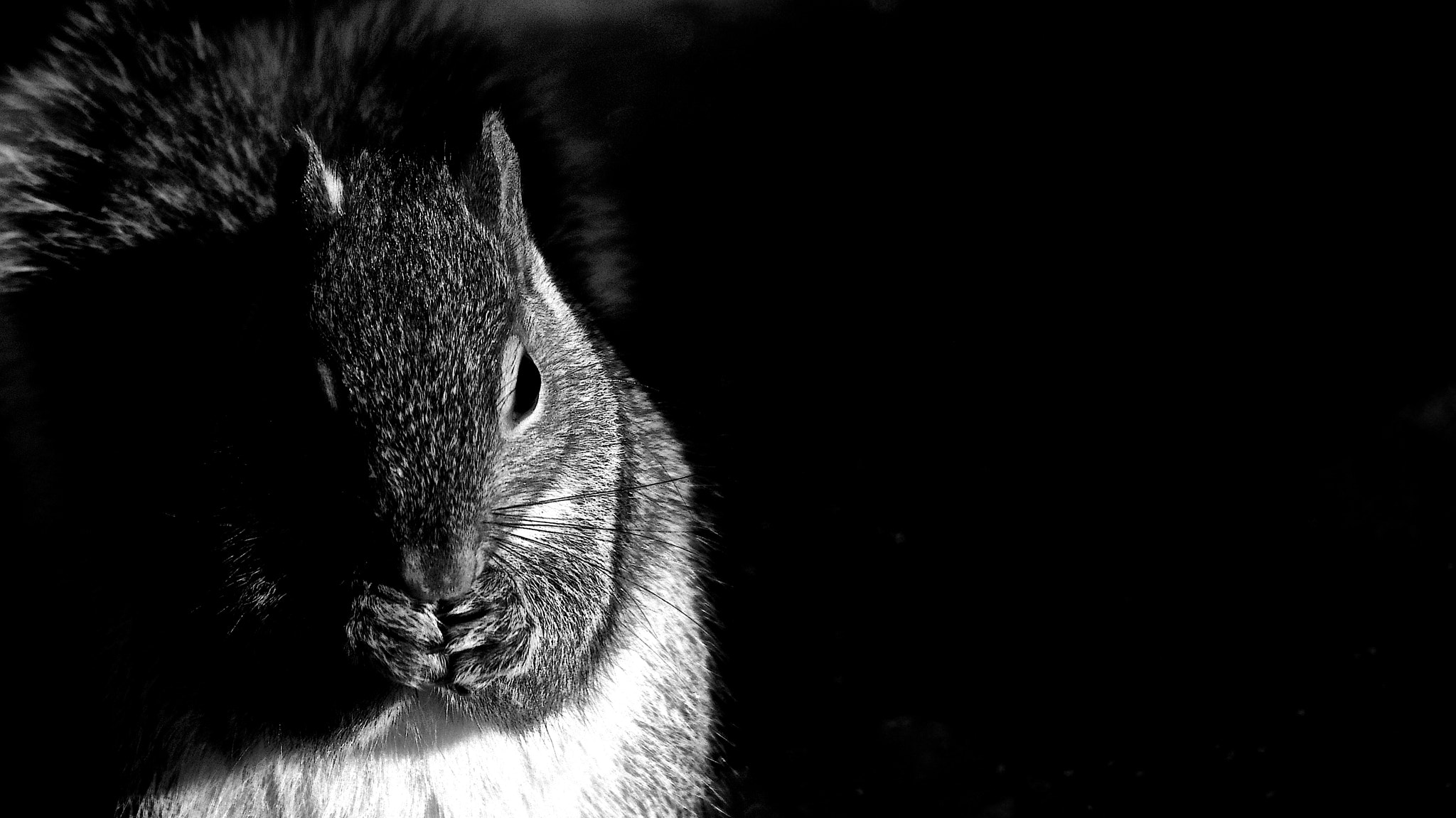 Pentax smc DA 55-300mm F4.0-5.8 ED sample photo. Light and shadow photography