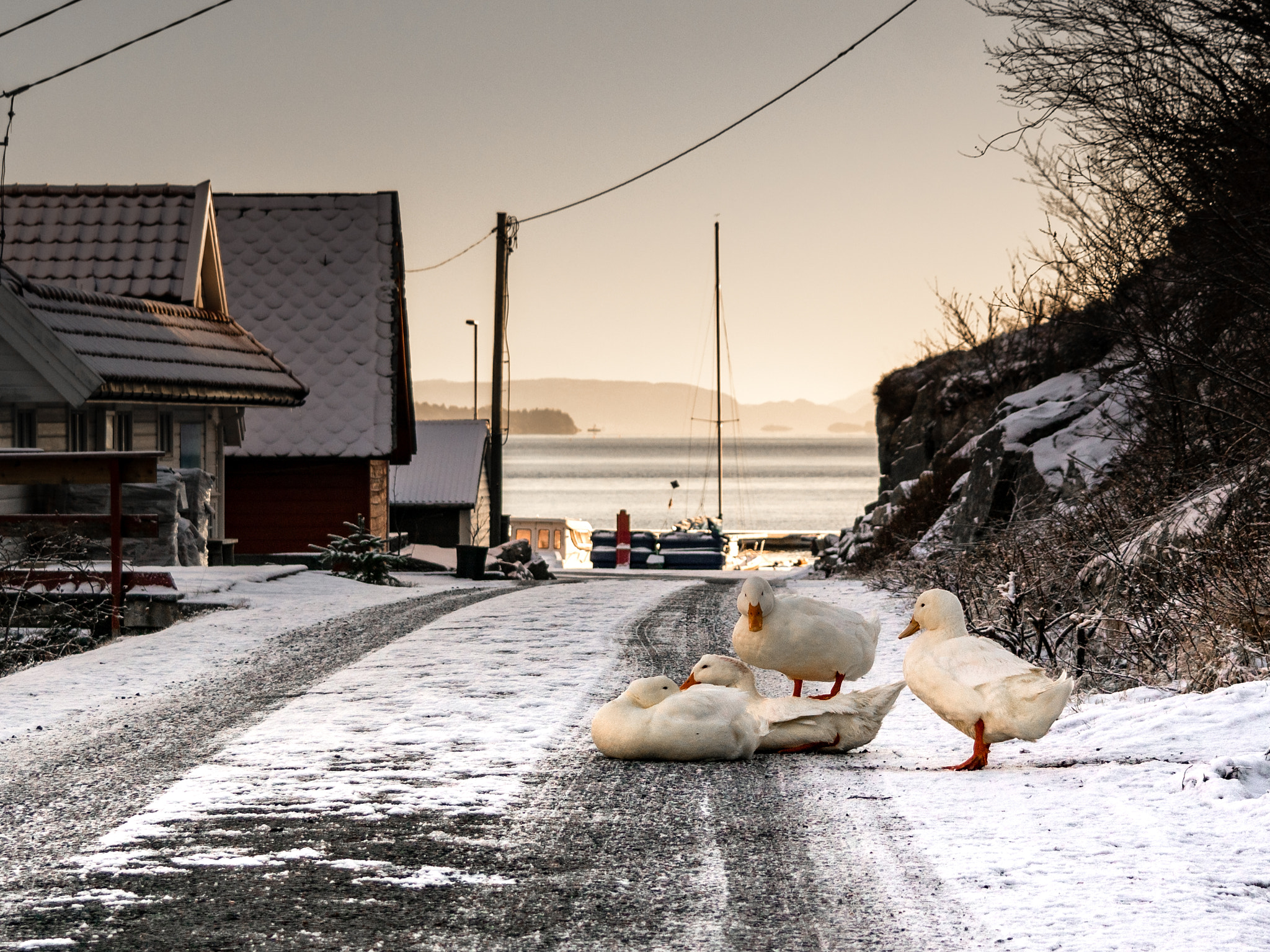 Samsung NX30 + Samsung NX 18-55mm F3.5-5.6 OIS sample photo. "roadblock" photography