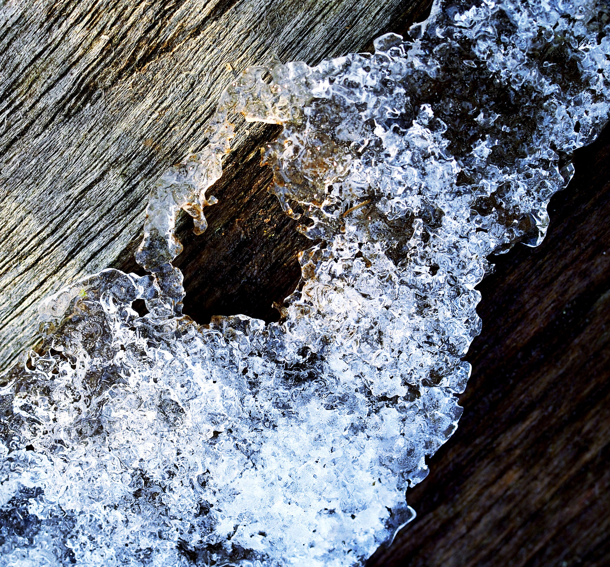 Olympus PEN-F sample photo. Wood and ice photography