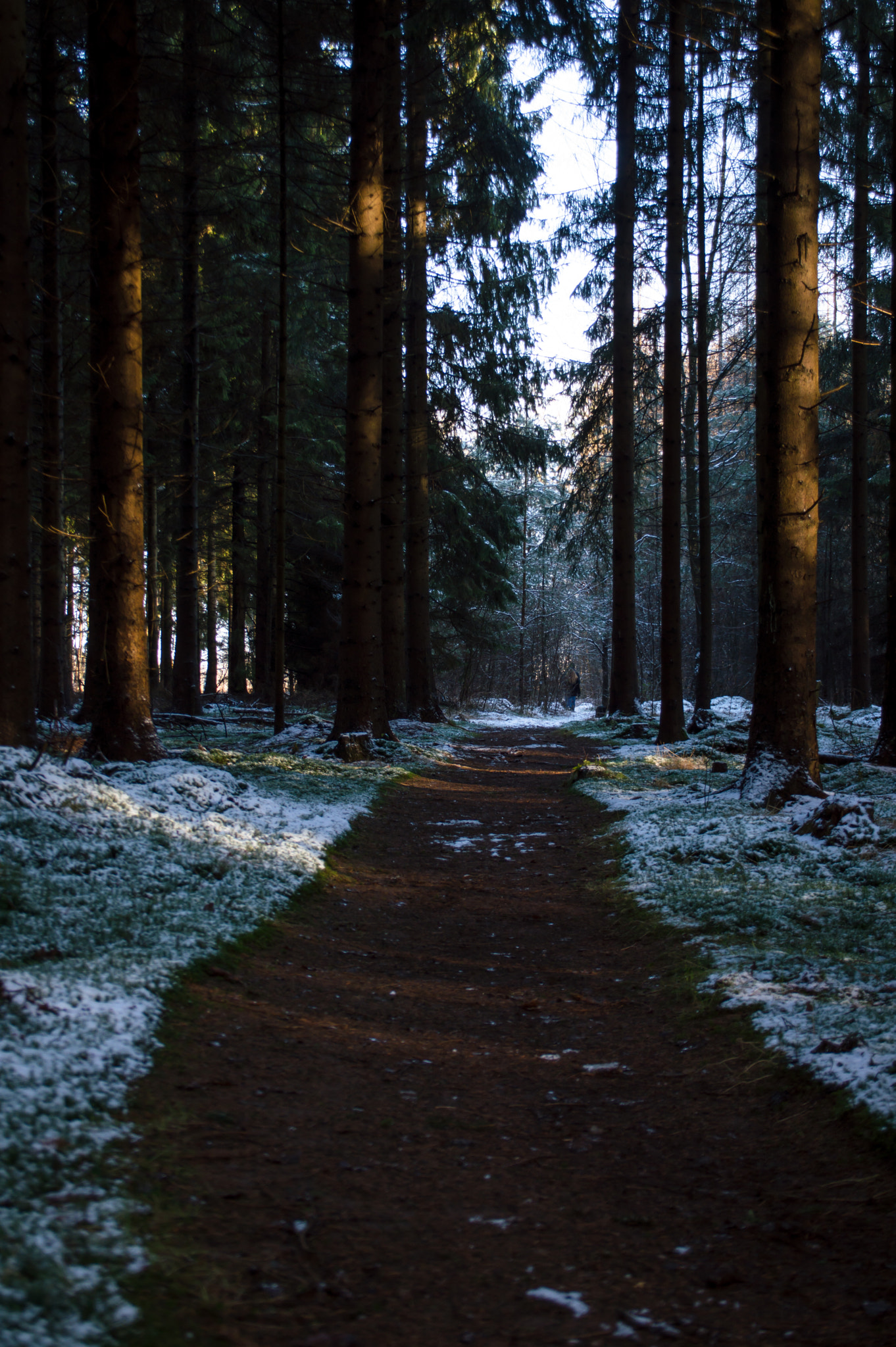 Nikon D3200 + Sigma 28-300mm F3.5-6.3 DG Macro sample photo. Path through the winter forest photography
