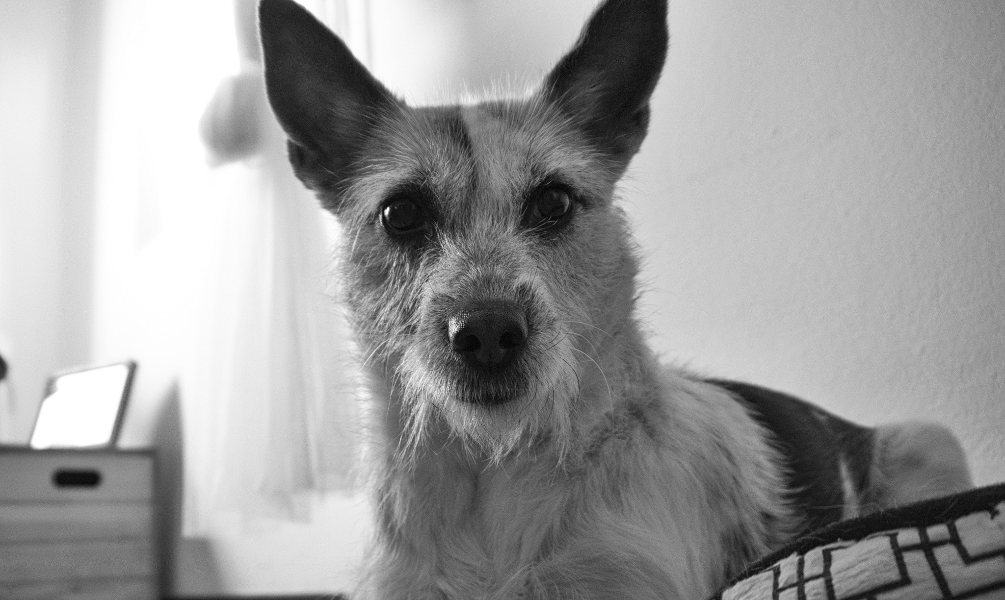 Panasonic Lumix DMC-G6 sample photo