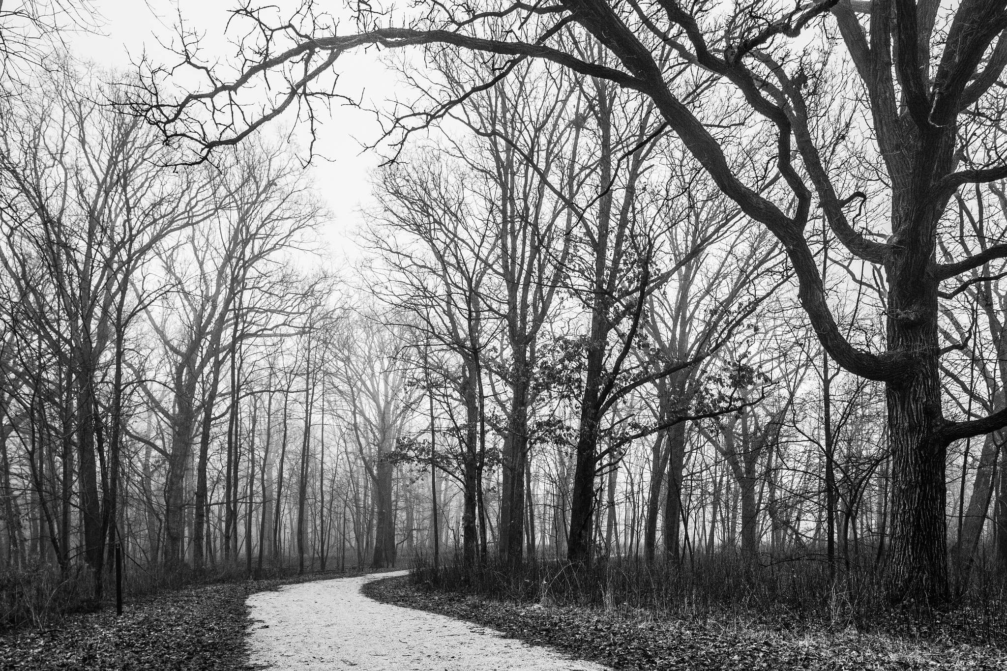 Canon TS-E 24.0mm f/3.5 L II sample photo. Trail photography