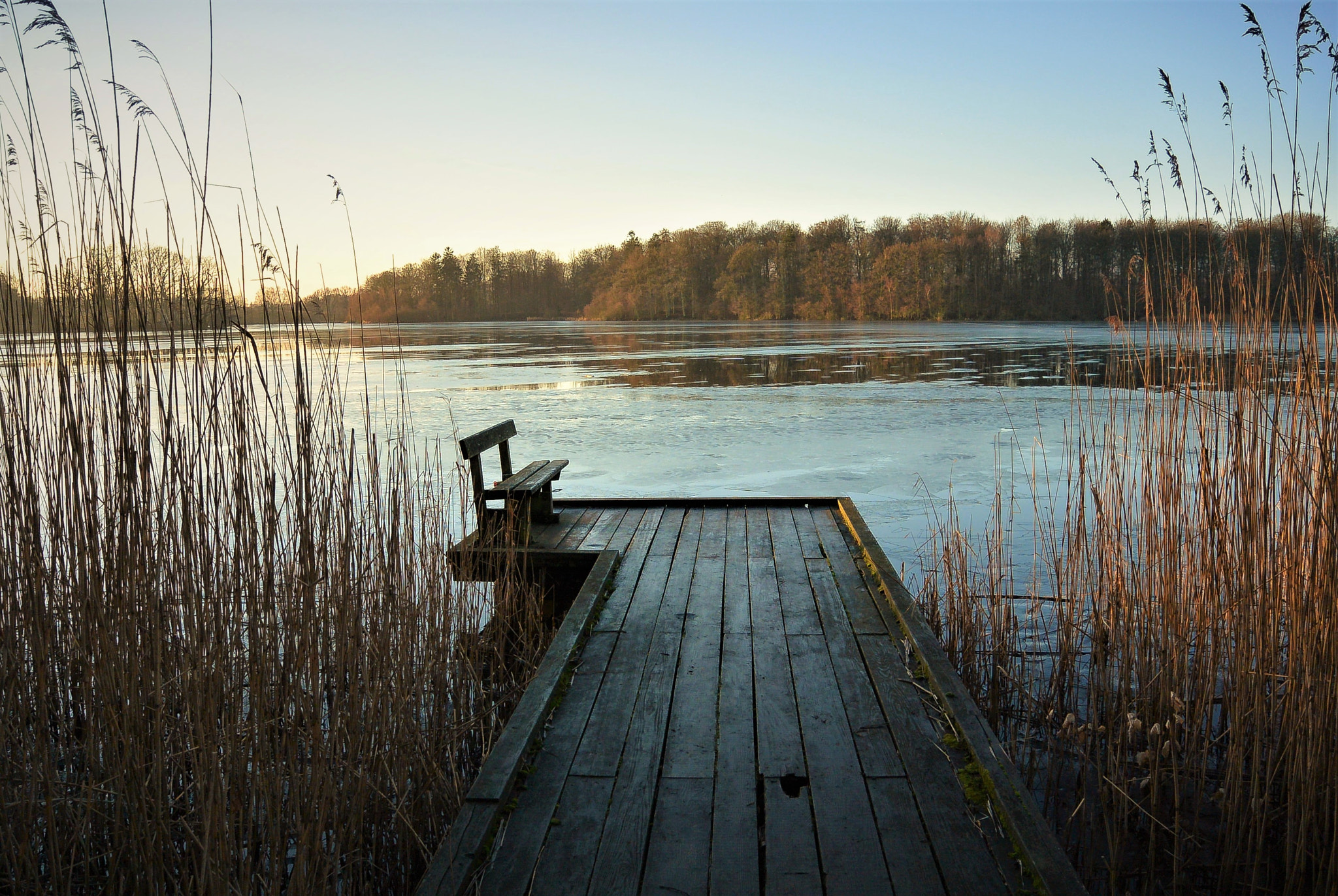 Nikon 1 S1 sample photo. The bench... photography