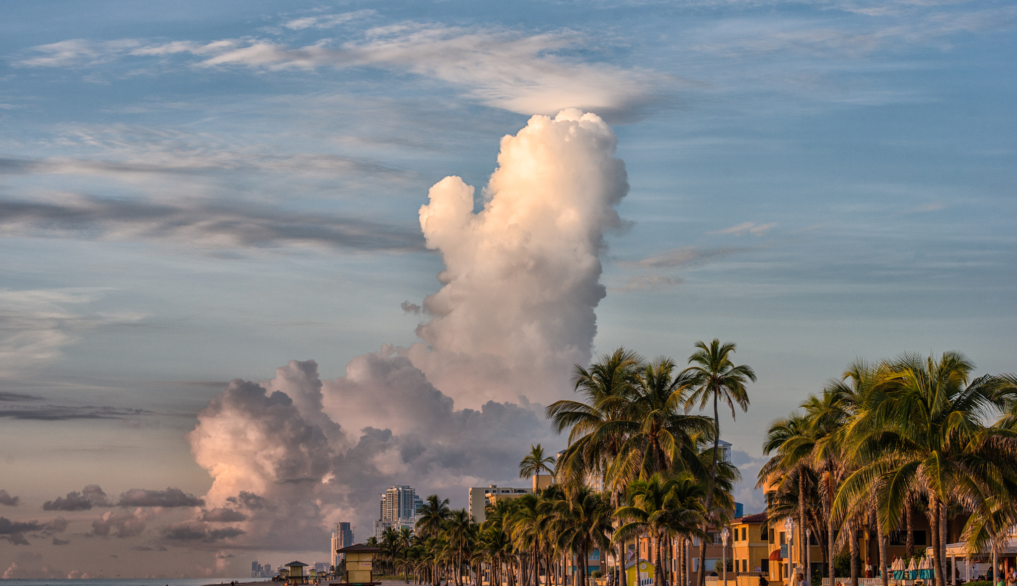 Nikon D750 + Sigma 105mm F2.8 EX DG Macro sample photo. Touch the sky photography