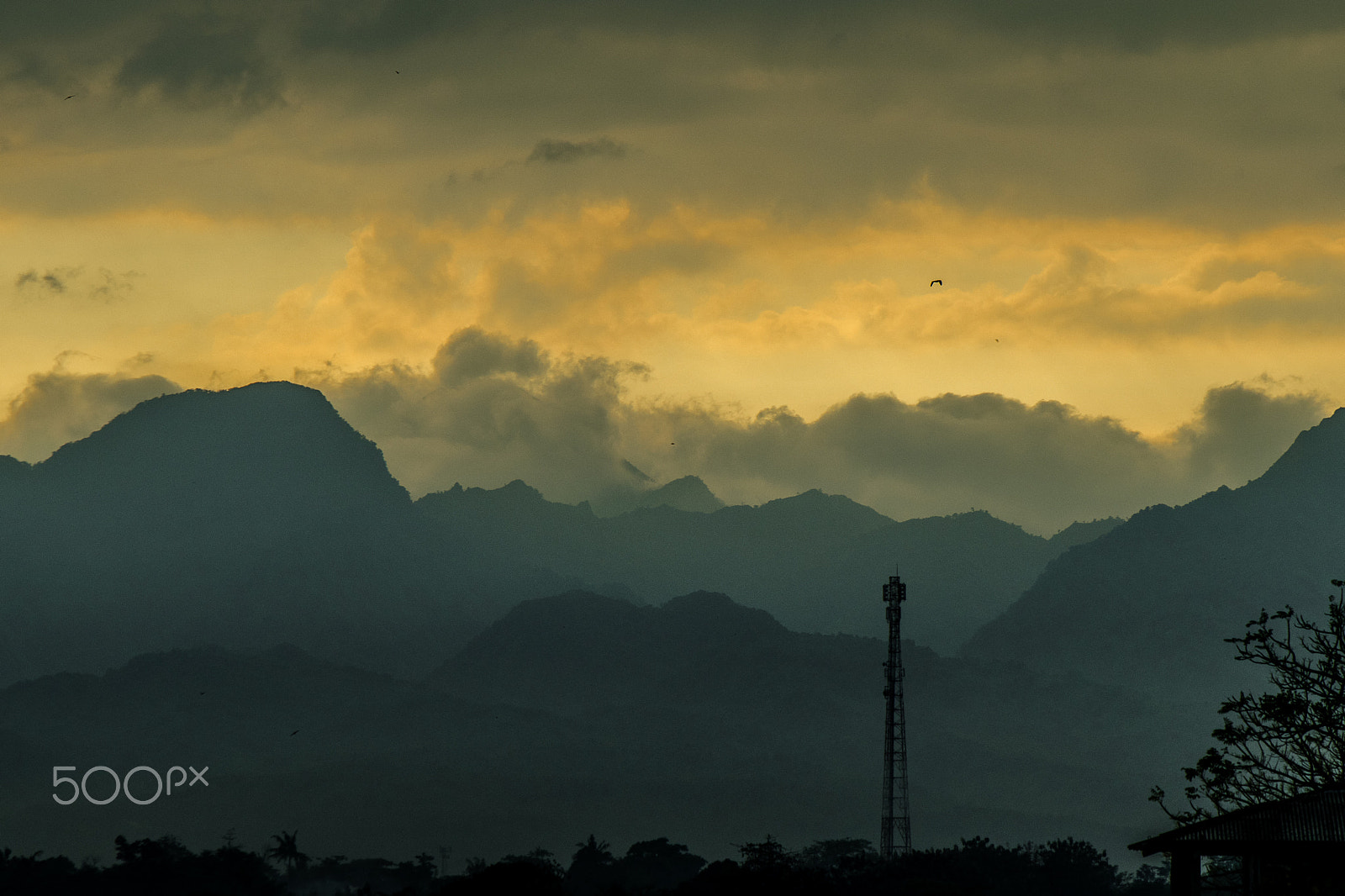Canon EF-S 55-250mm F4-5.6 IS sample photo. Golden pole photography