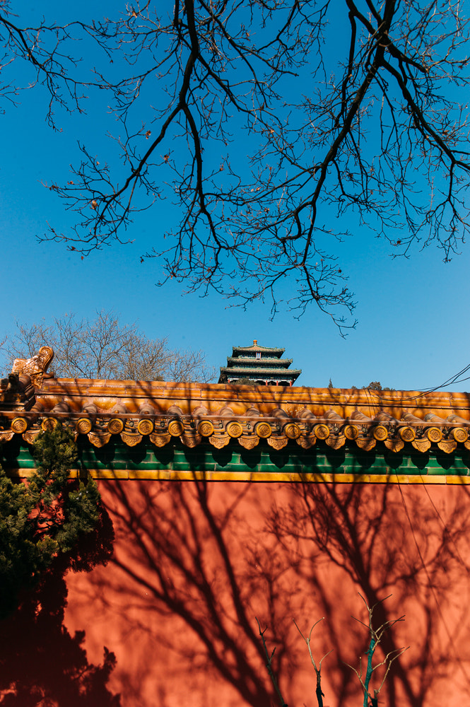 Leica M9 + Leica Summicron-M 35mm F2 ASPH sample photo. Jing shan park photography