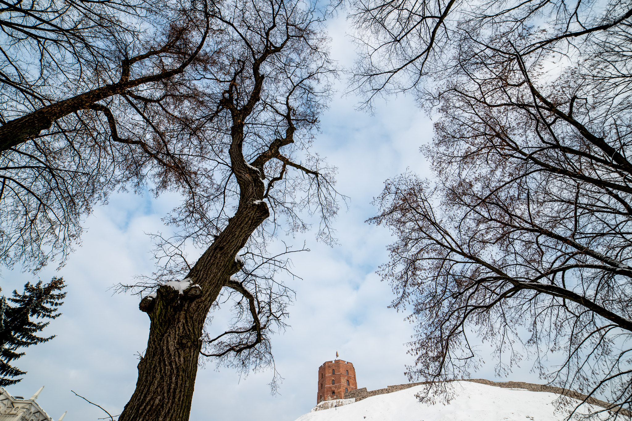 Pentax K-1 + A Series Lens sample photo. Winter in lithuania photography