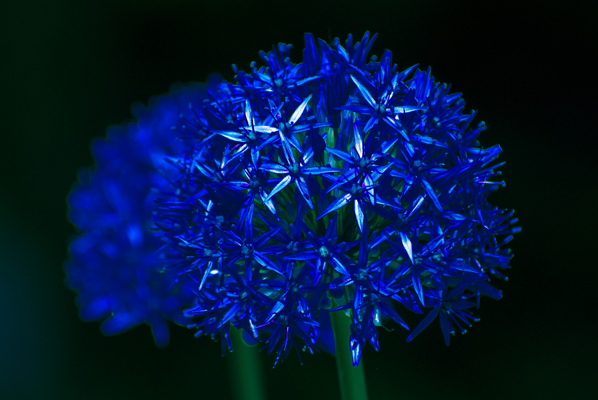 Nikon D200 sample photo. Feeling blue - iteration #2 photography