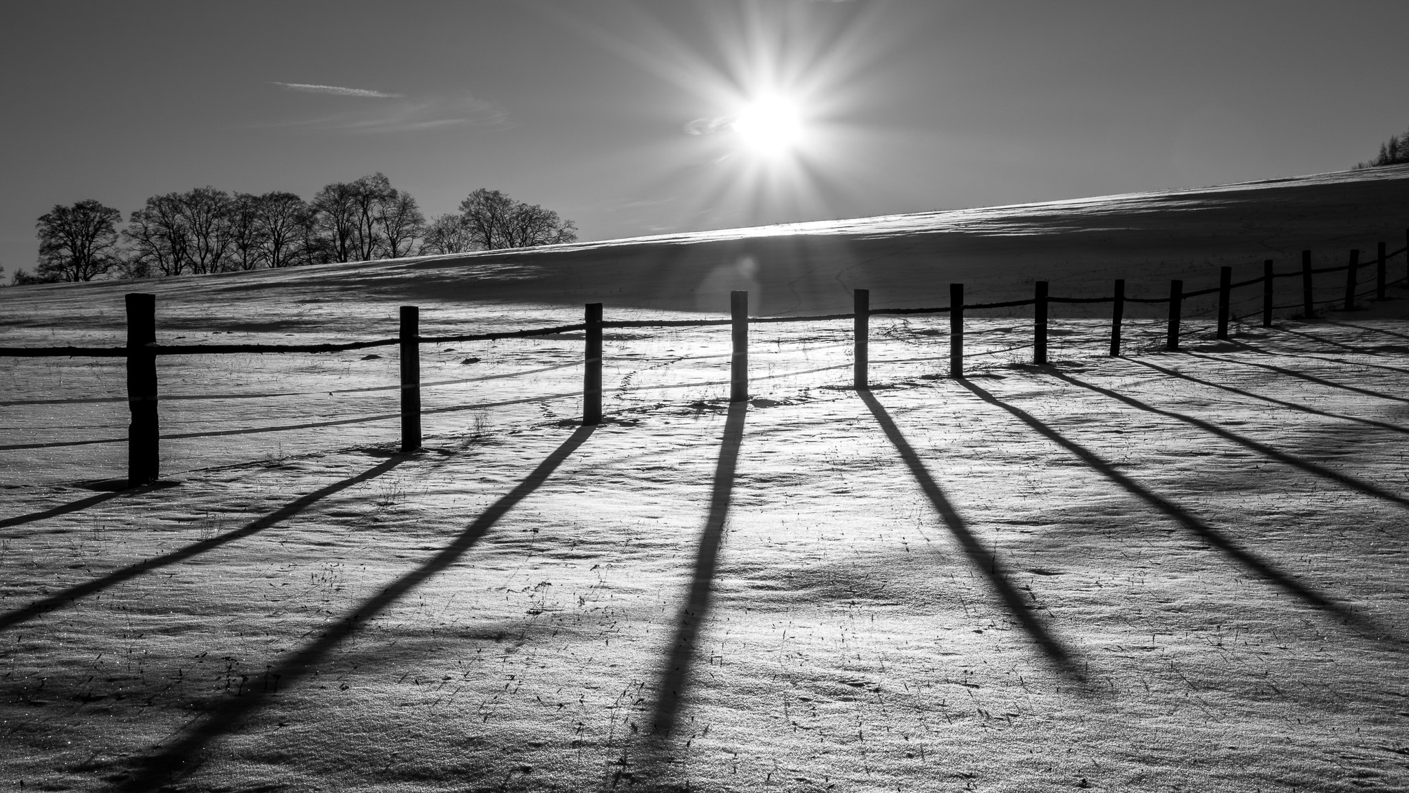 Sigma 18-250mm F3.5-6.3 DC Macro OS HSM sample photo. Long shadows photography
